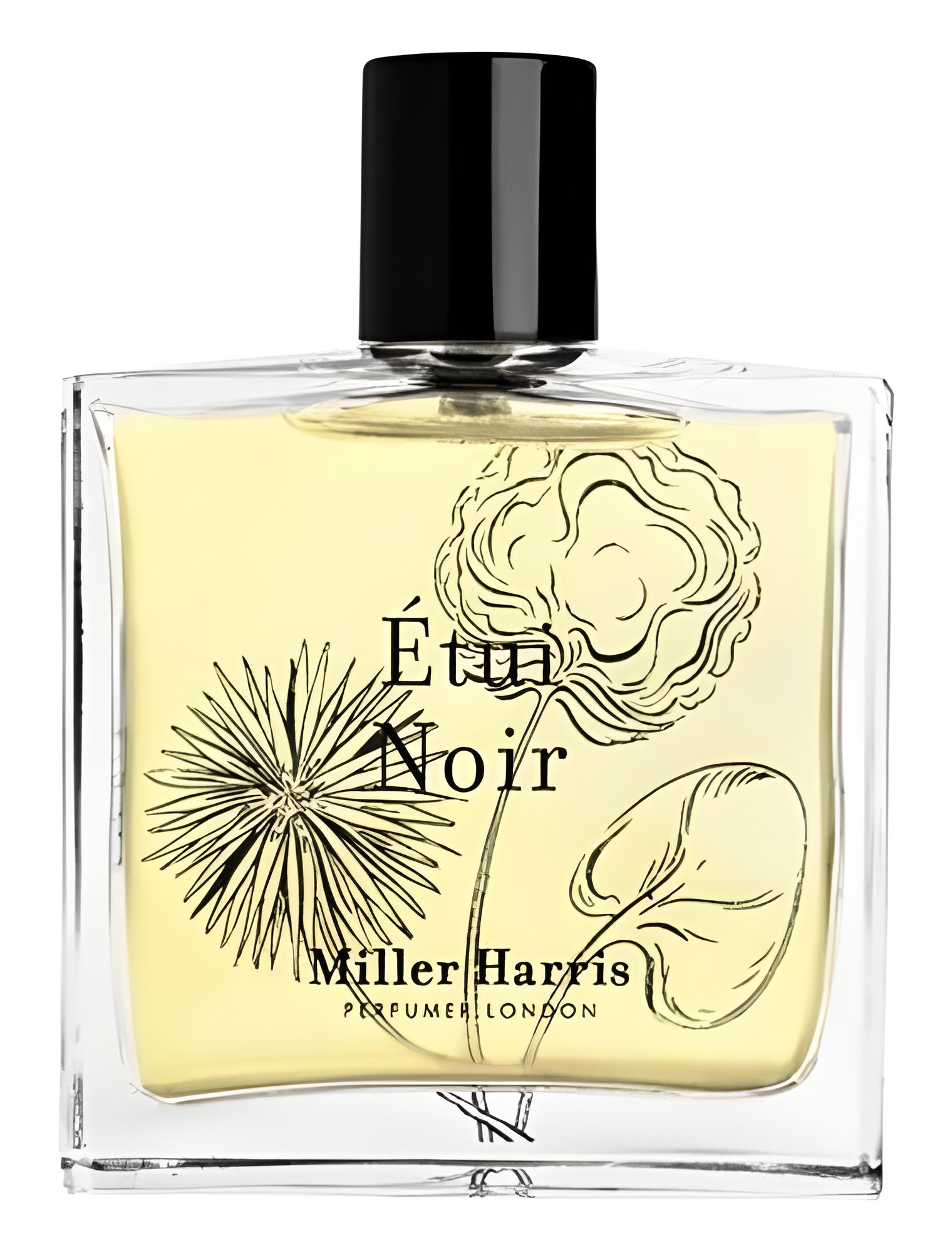 Picture of Étui Noir fragrance