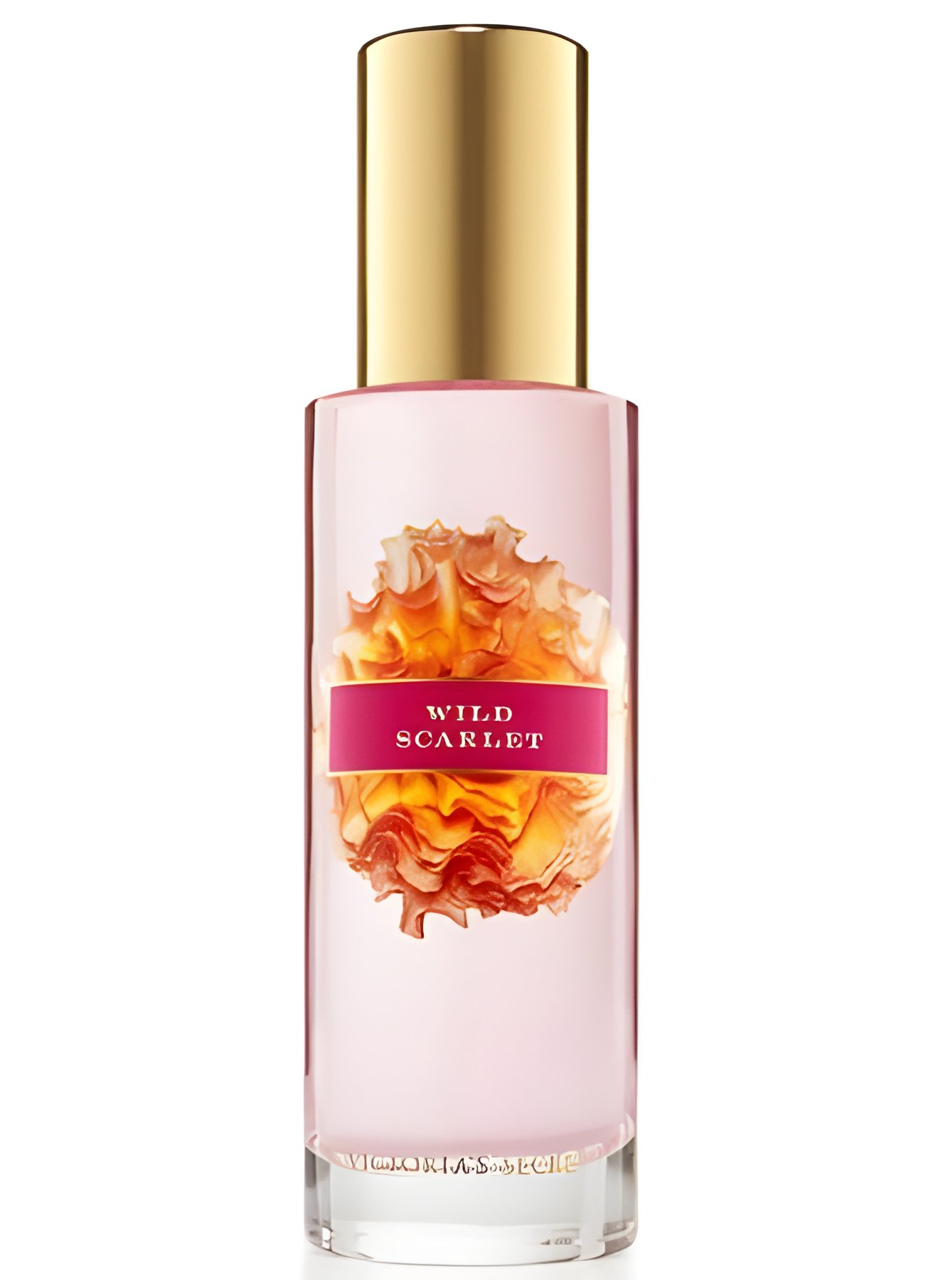 Picture of Wild Scarlet fragrance