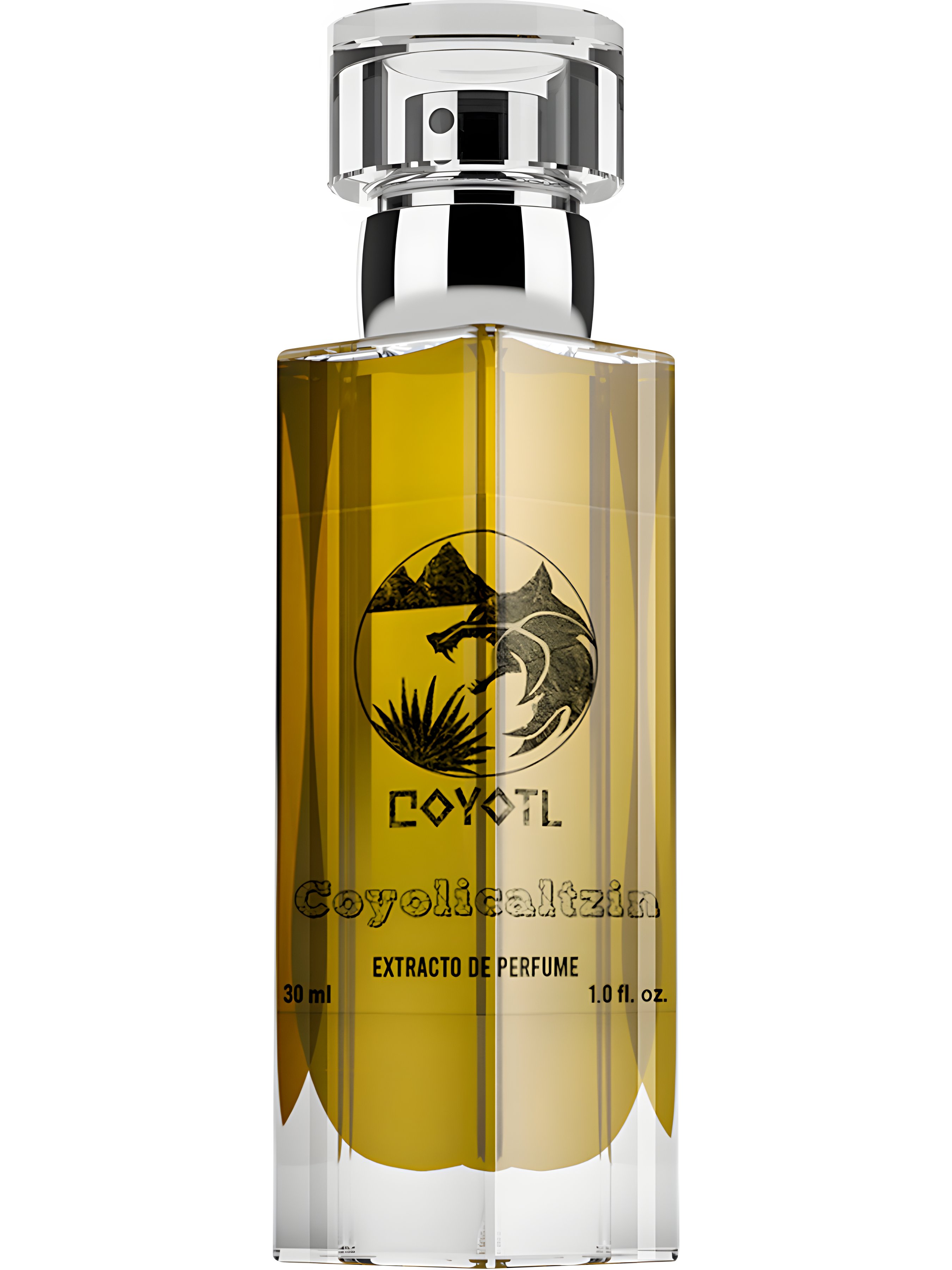 Picture of Coyolicaltzin fragrance