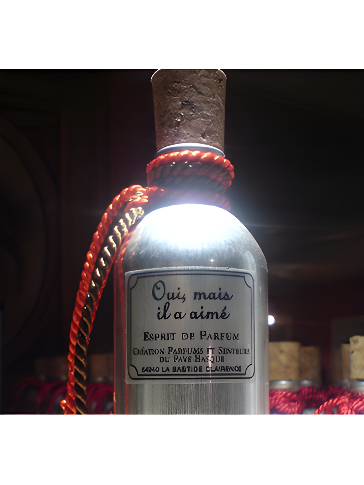 Picture of Oui, Mais Il a Aime fragrance