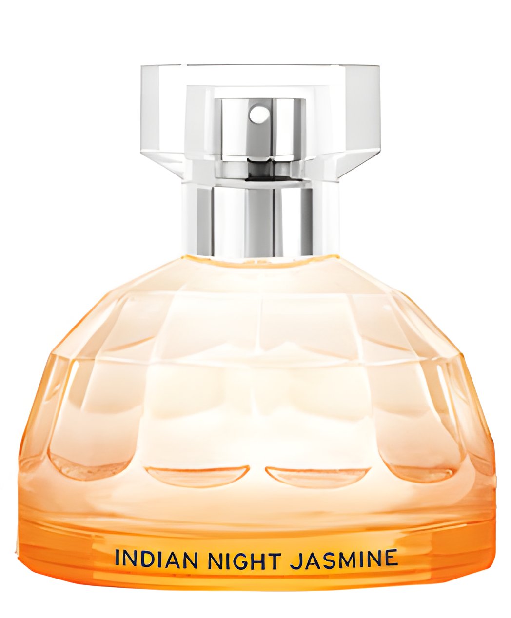 Picture of Indian Night Jasmine fragrance