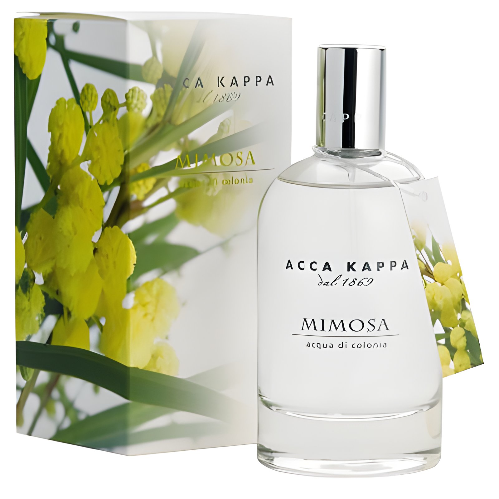 Picture of Mimosa fragrance