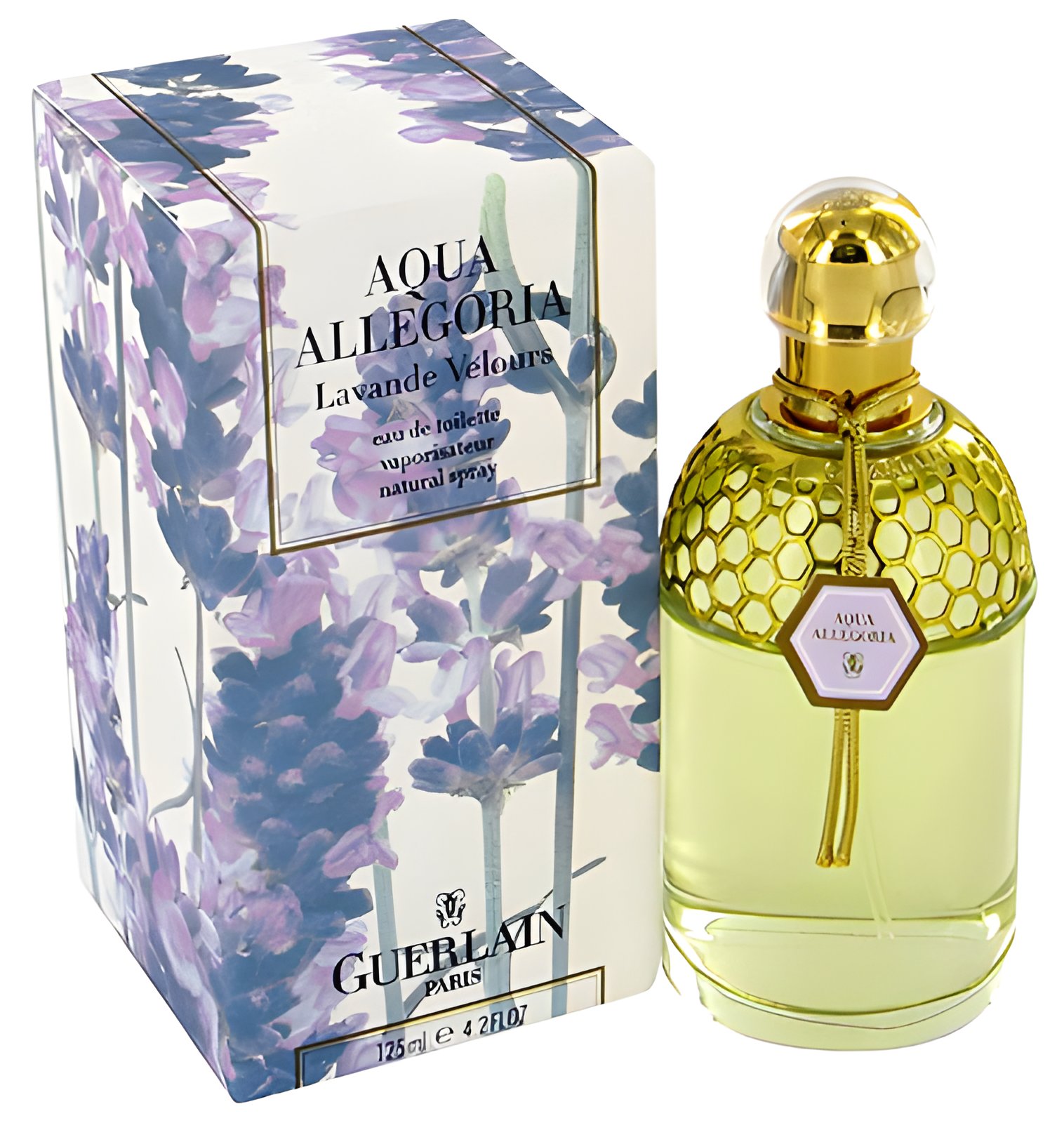 Picture of Aqua Allegoria Lavande Velours fragrance