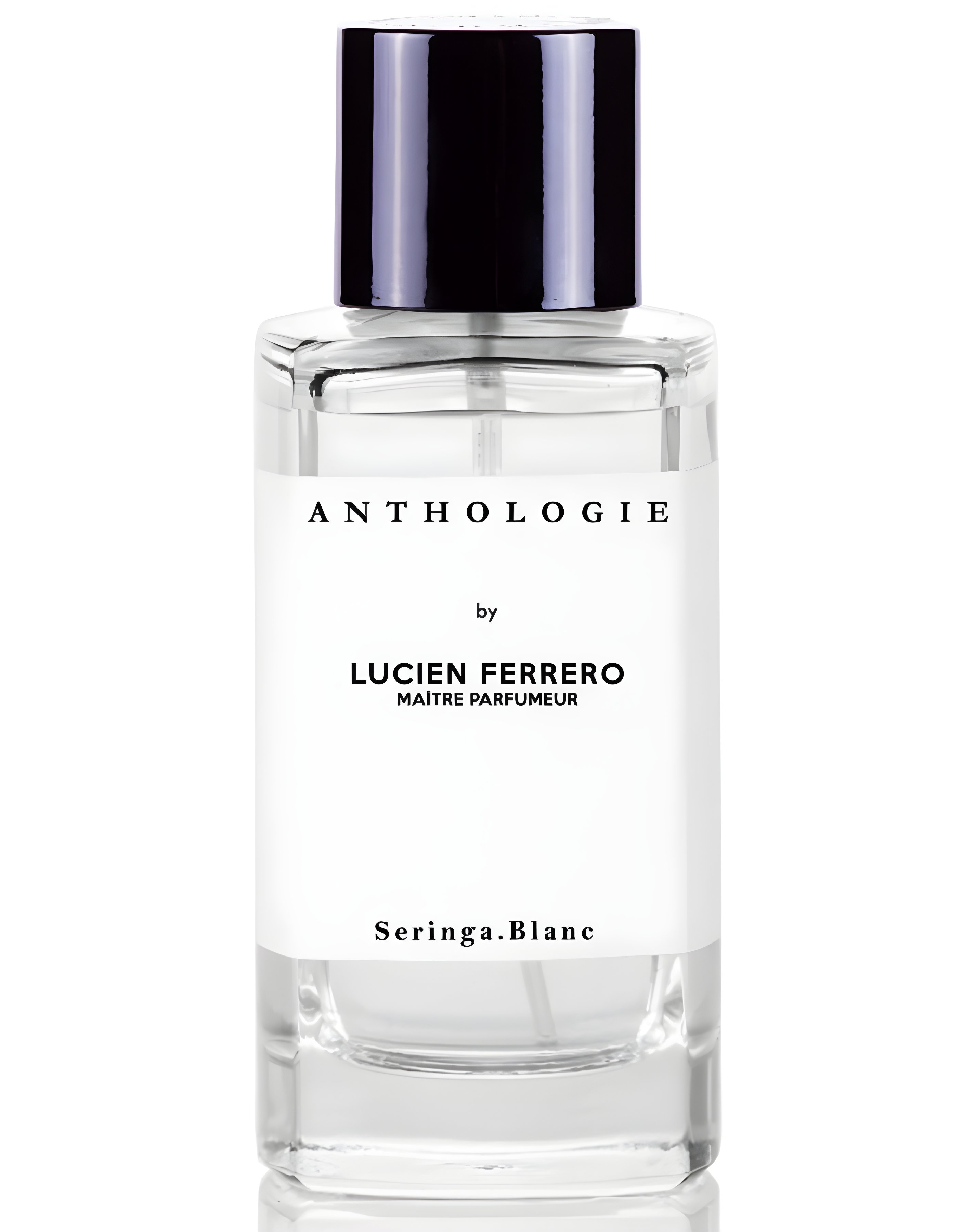 Picture of Seringa Blanc fragrance