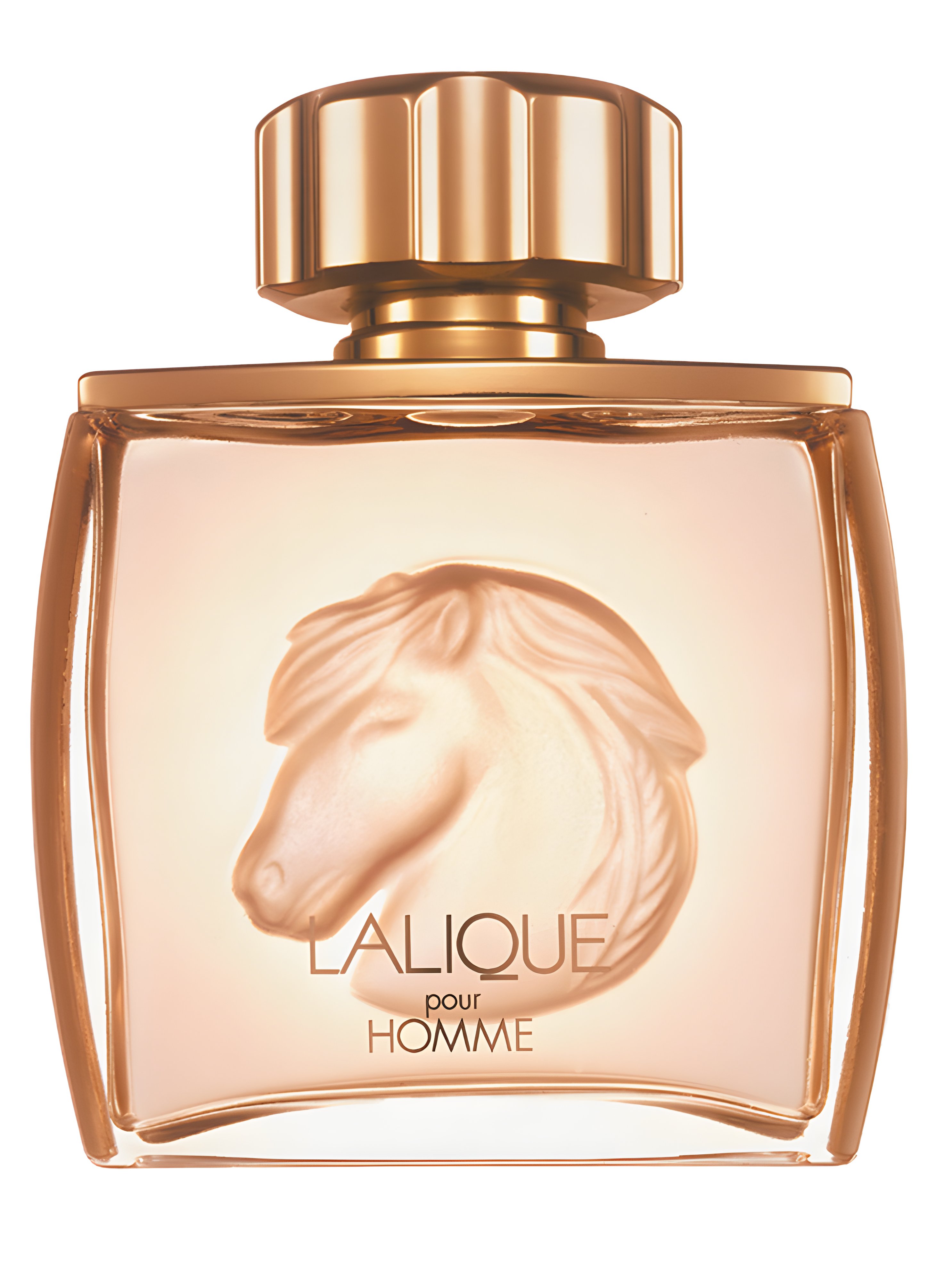 Picture of Lalique Pour Homme Equus fragrance