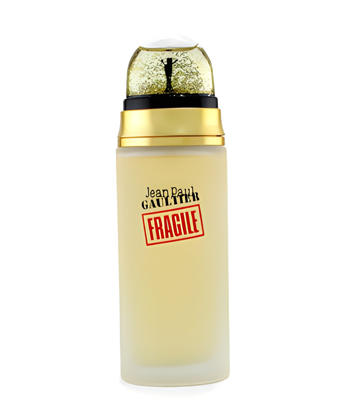 Picture of Fragile Eau de Toilette fragrance