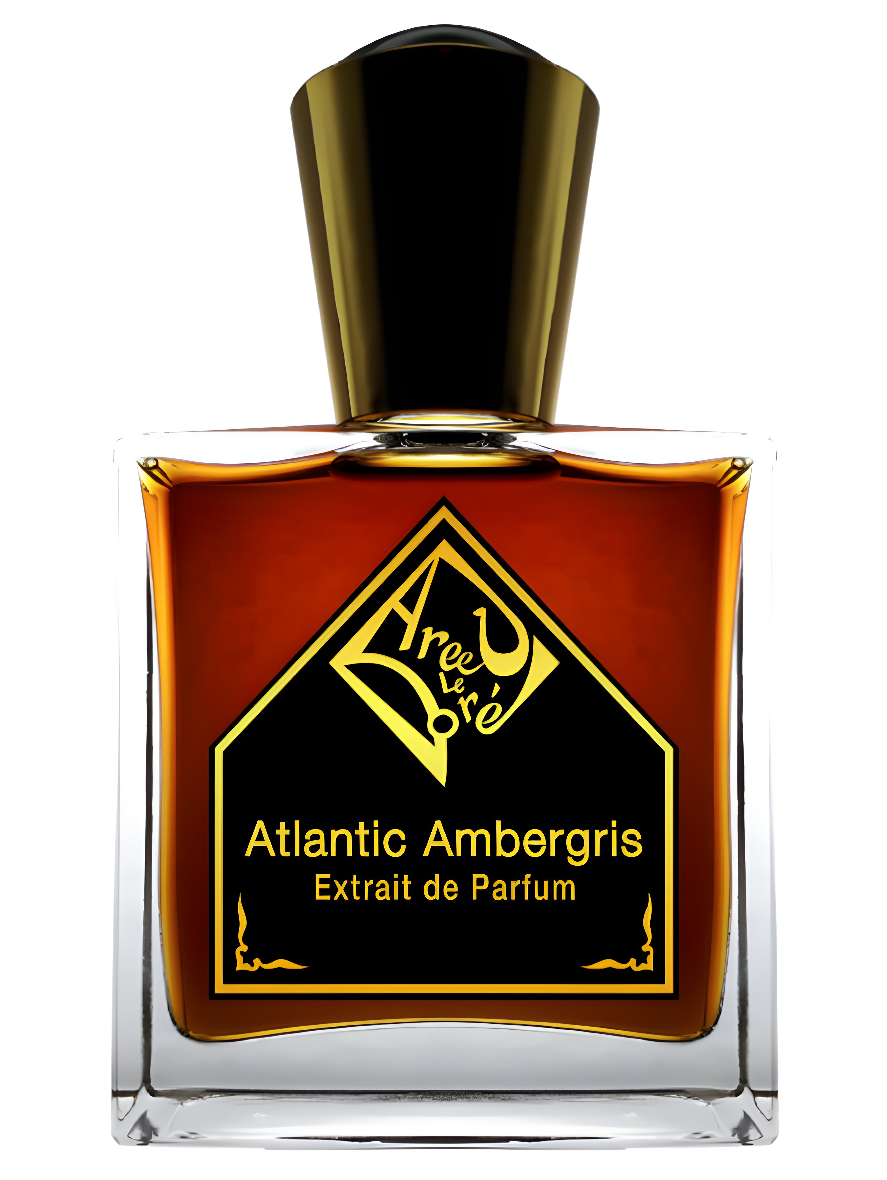 Picture of Atlantic Ambergris fragrance