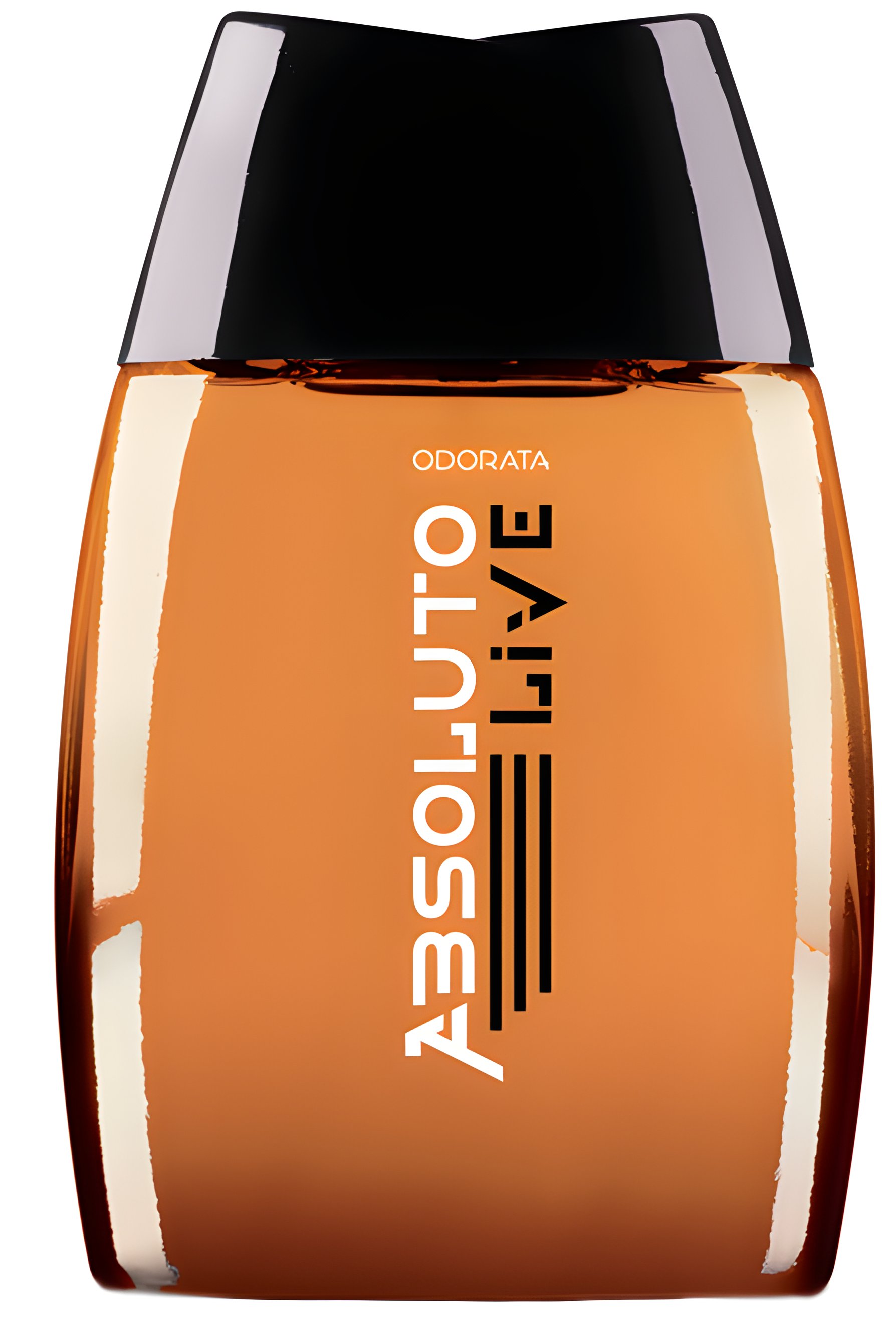 Picture of Absoluto Live fragrance