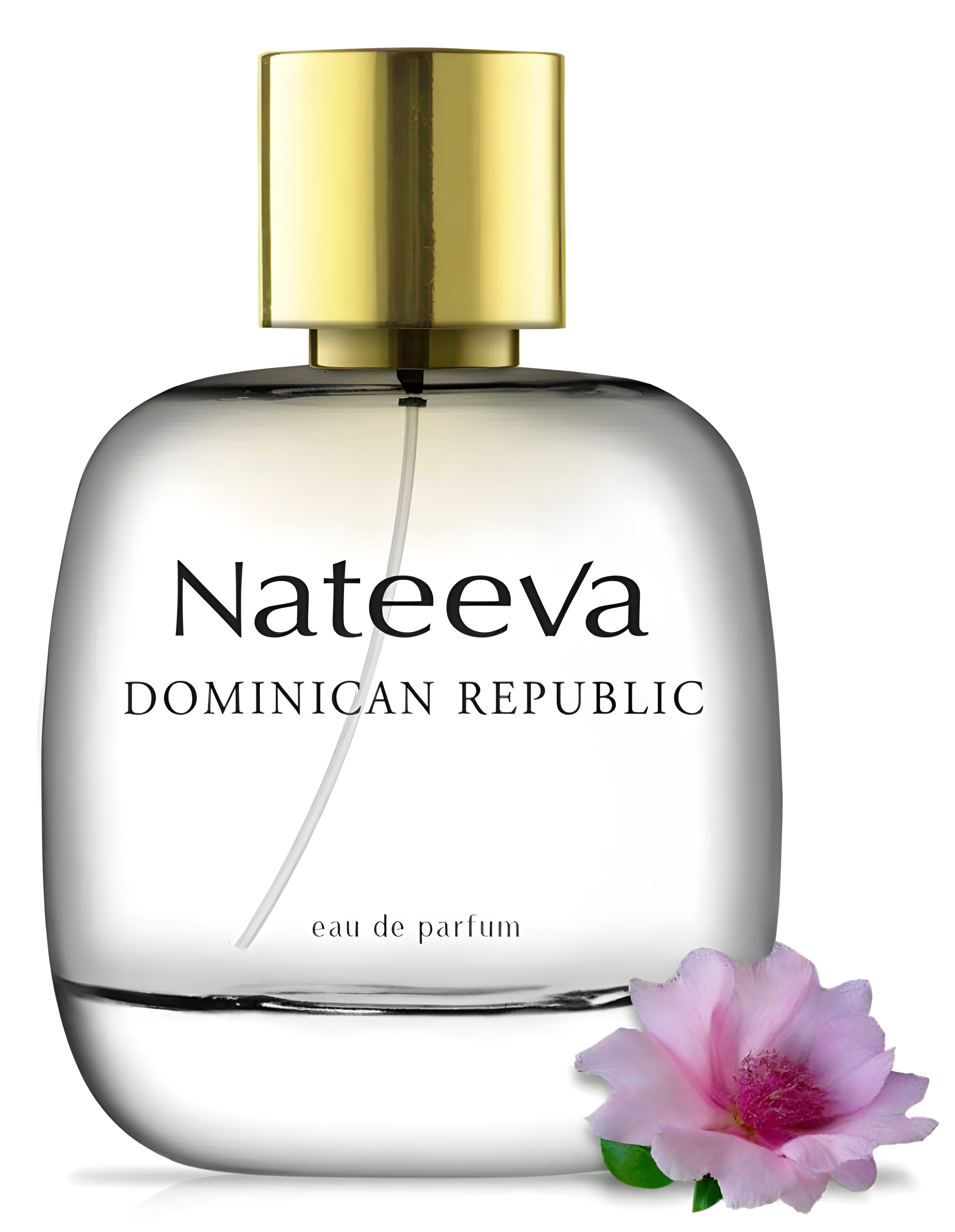 Picture of Dominican Republic fragrance