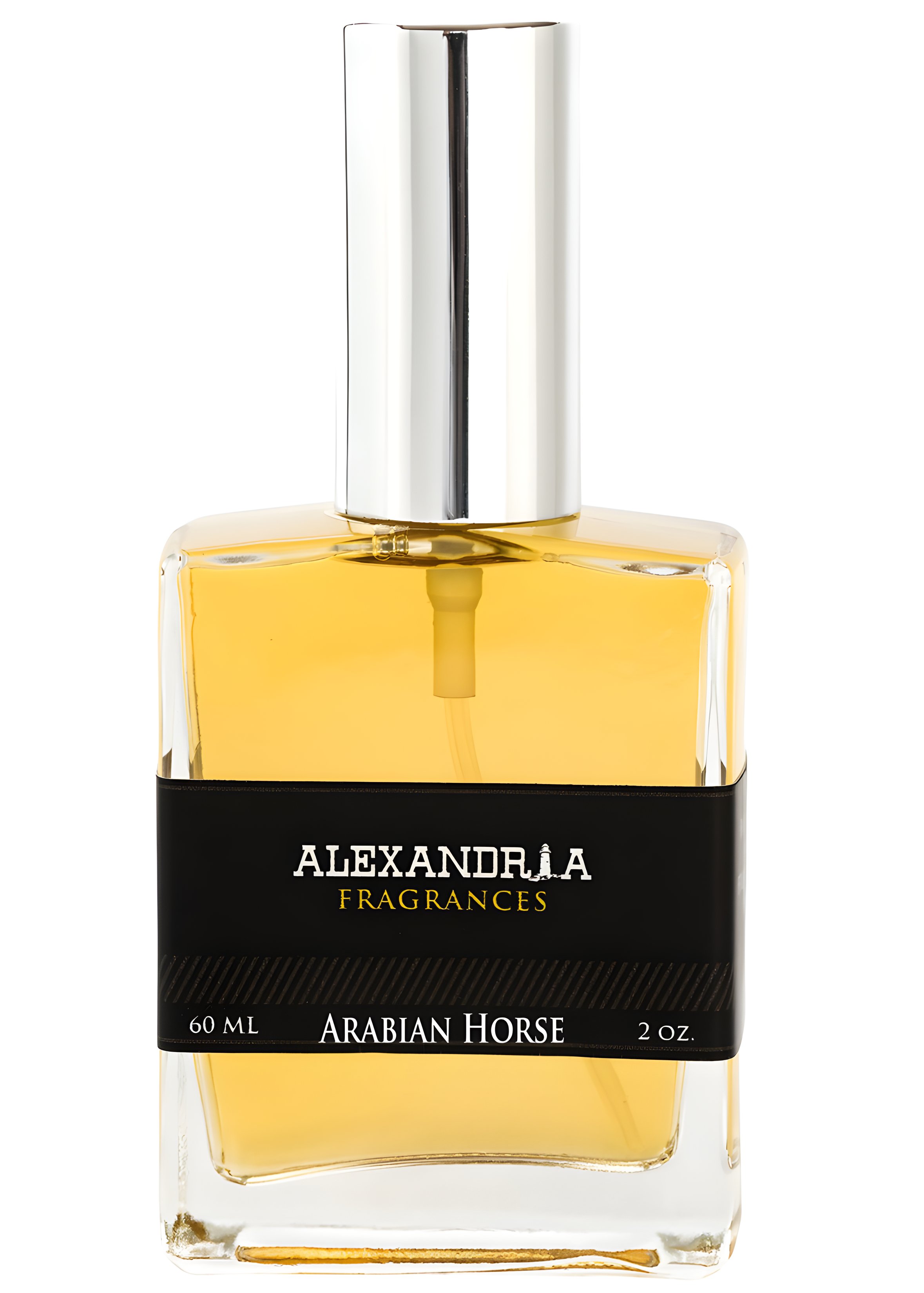 Picture of Arabian Horse fragrance