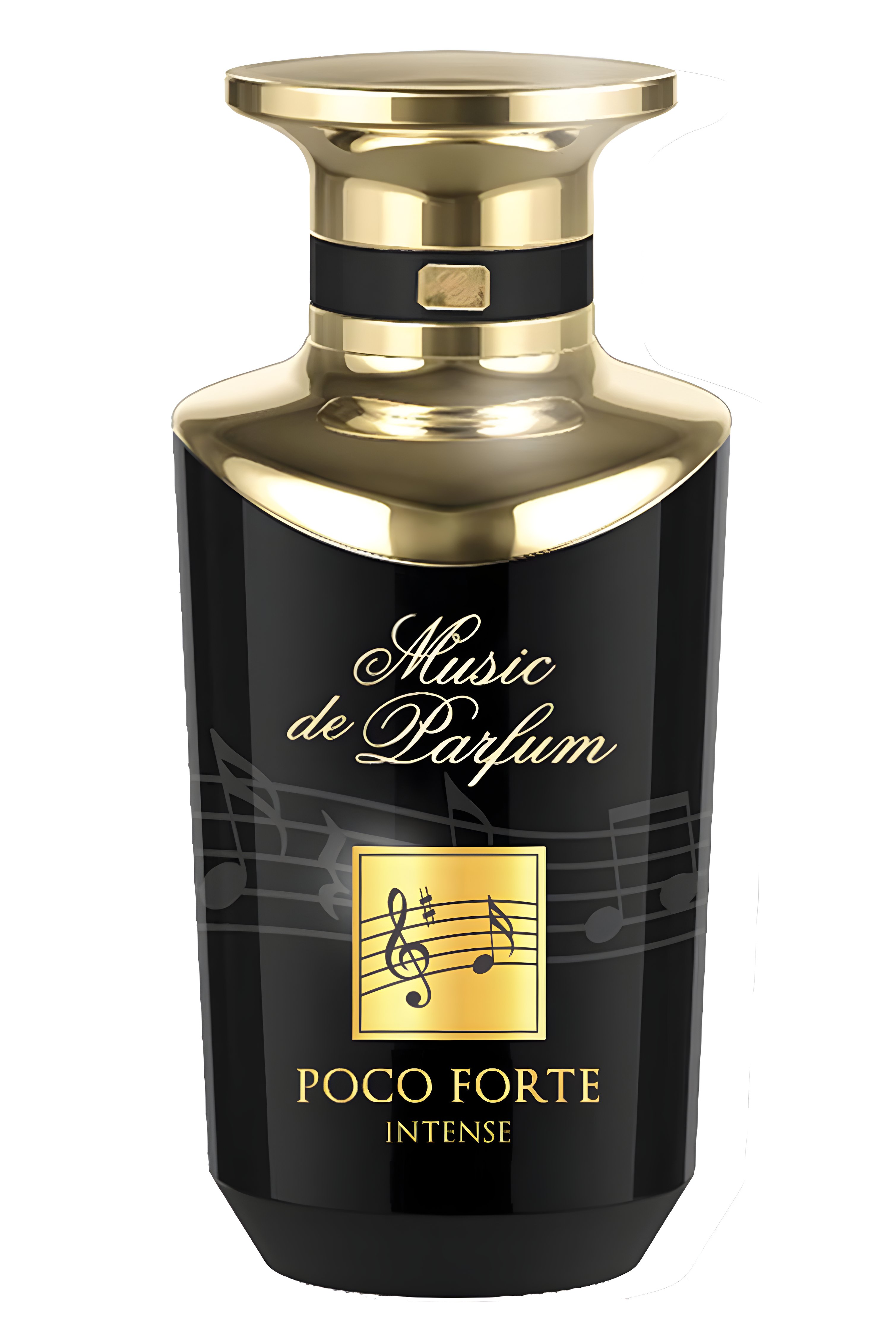 Picture of Pocco Forte fragrance