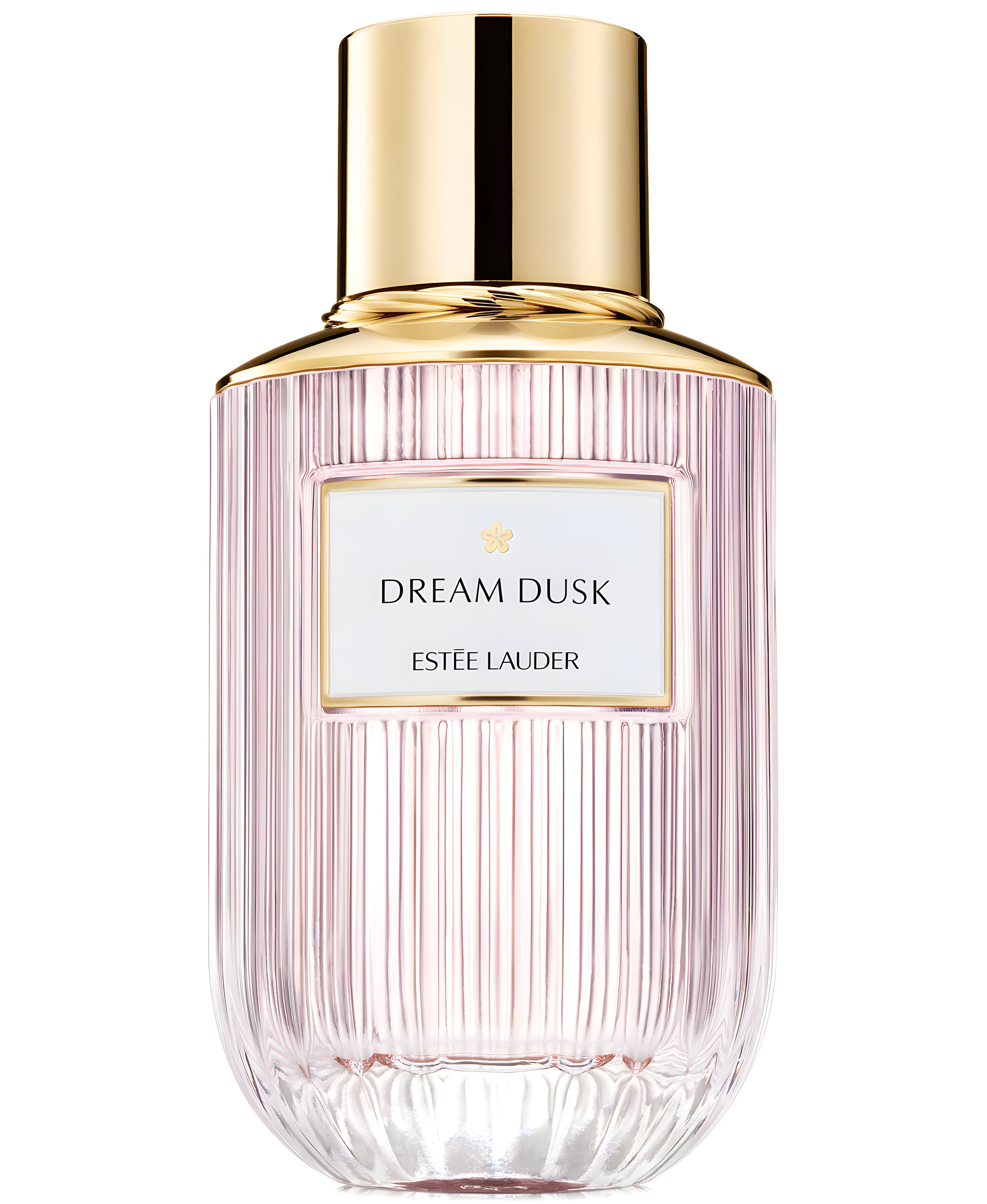 Picture of Dream Dusk fragrance