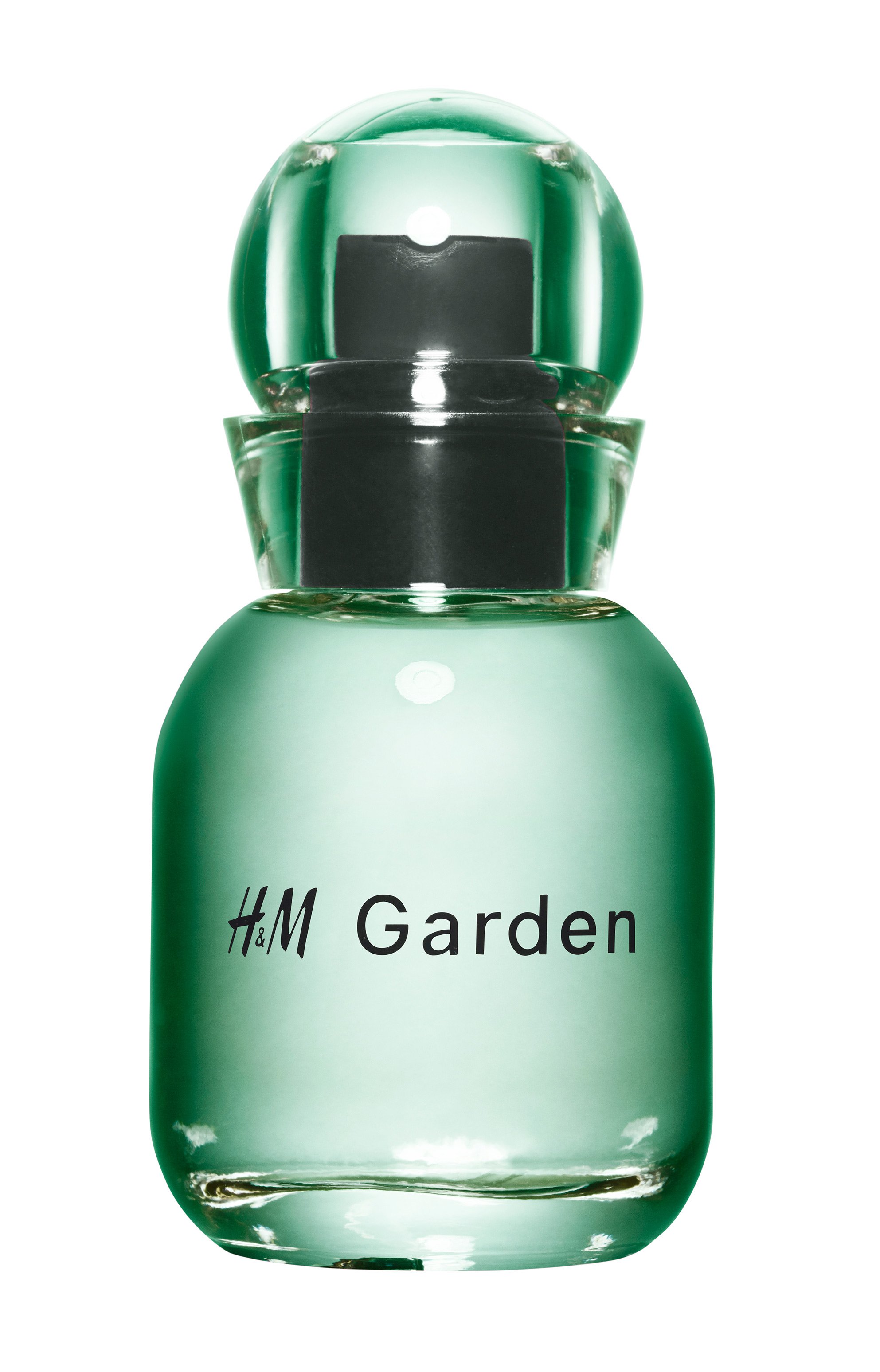 Picture of H&M Garden - Sunlit Dew fragrance