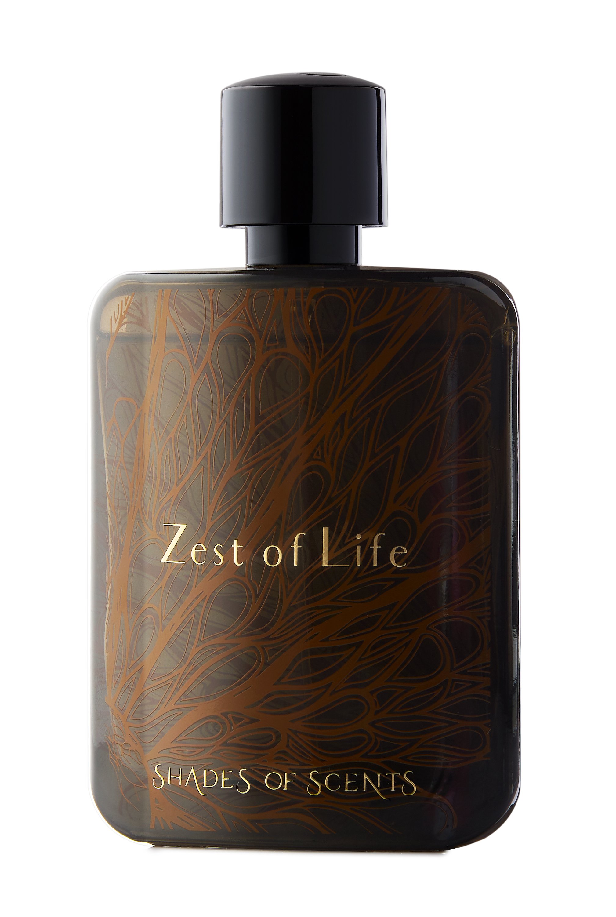 Picture of Zest of Life fragrance