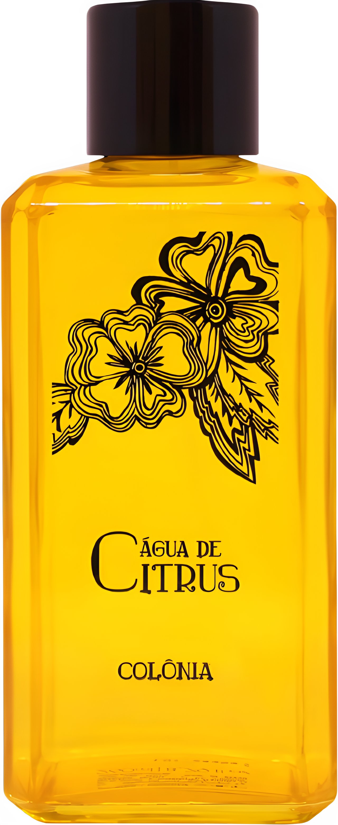 Picture of Água de Citrus fragrance