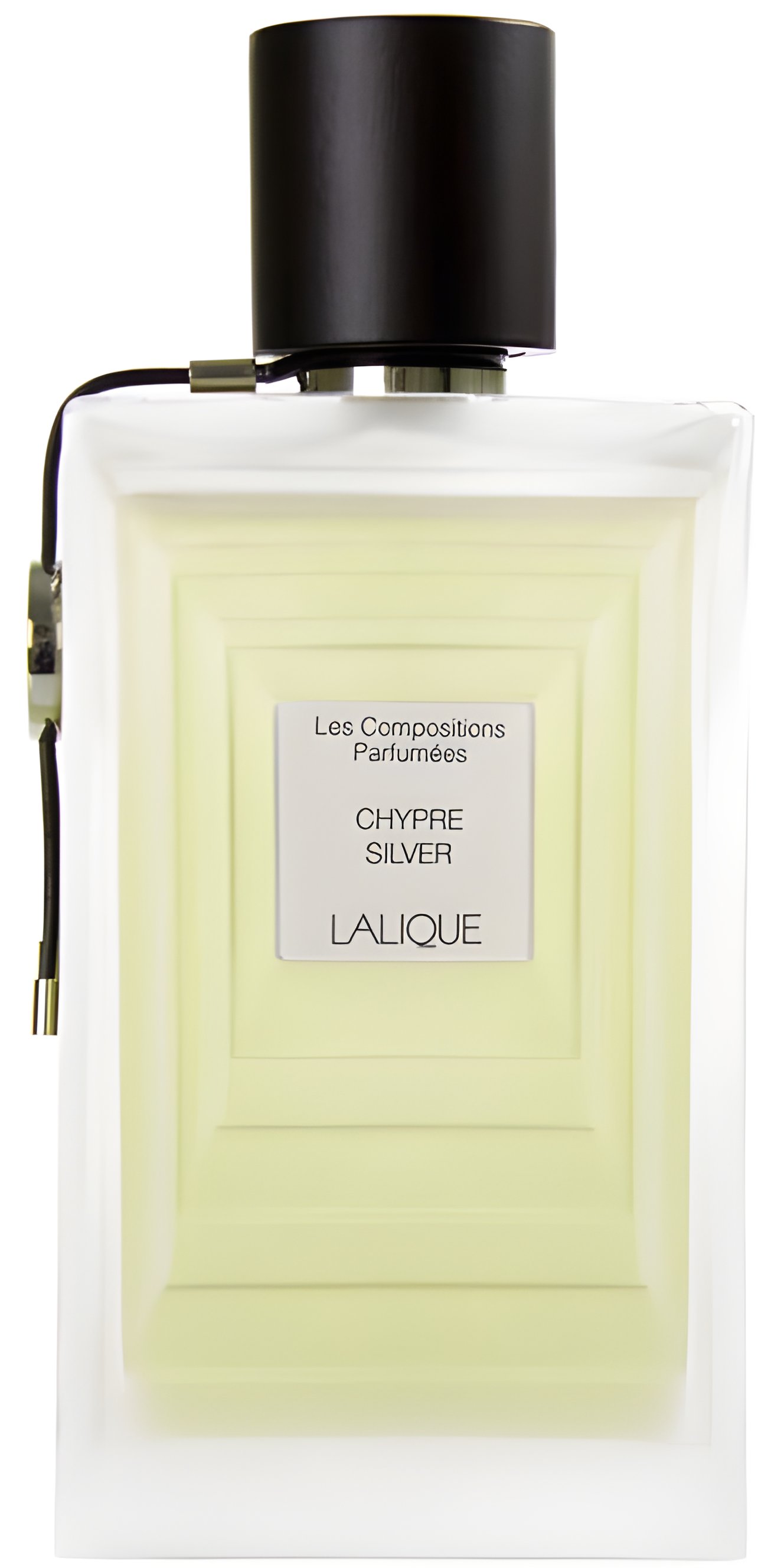 Picture of Chypre Silver fragrance