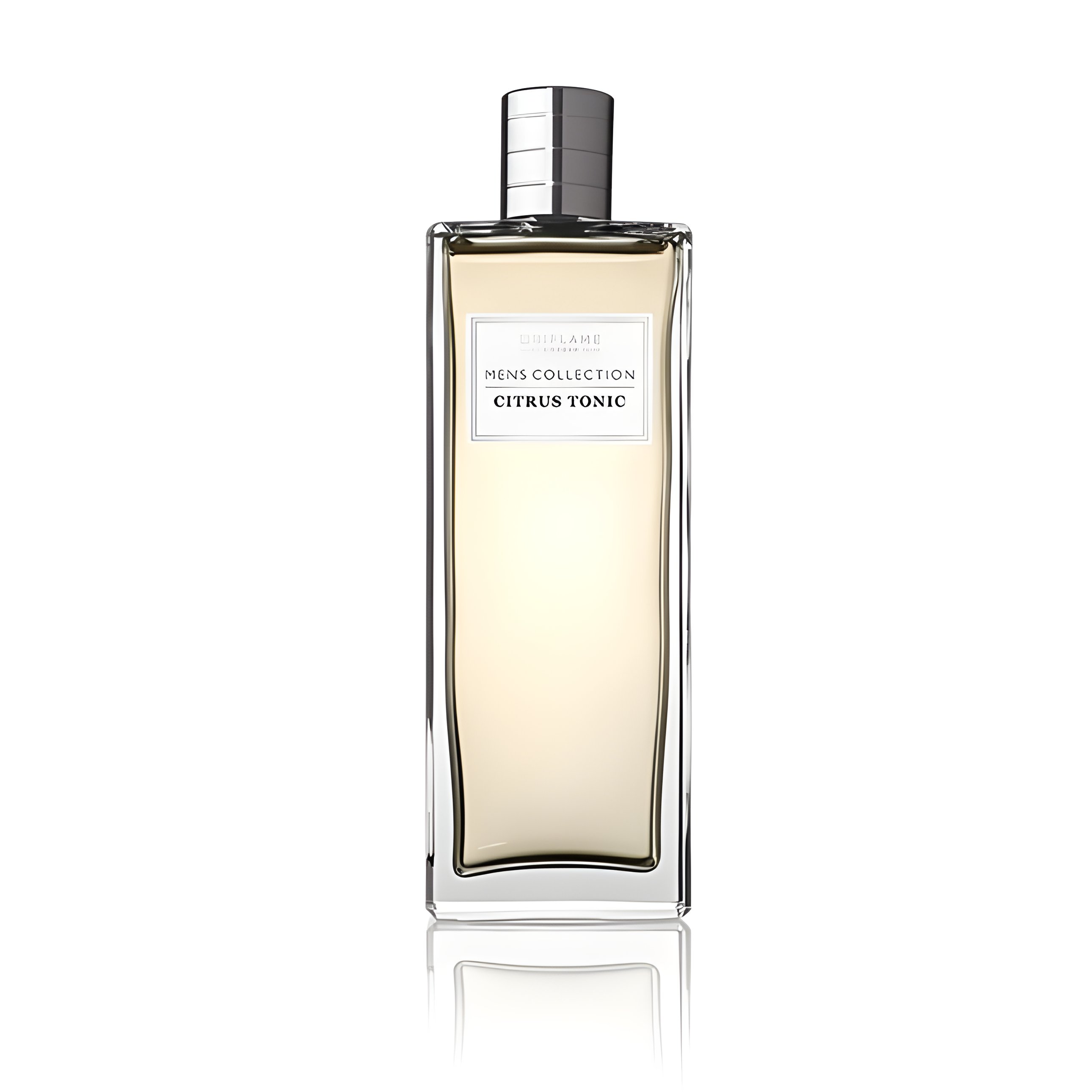 Picture of Citrus Tonic fragrance