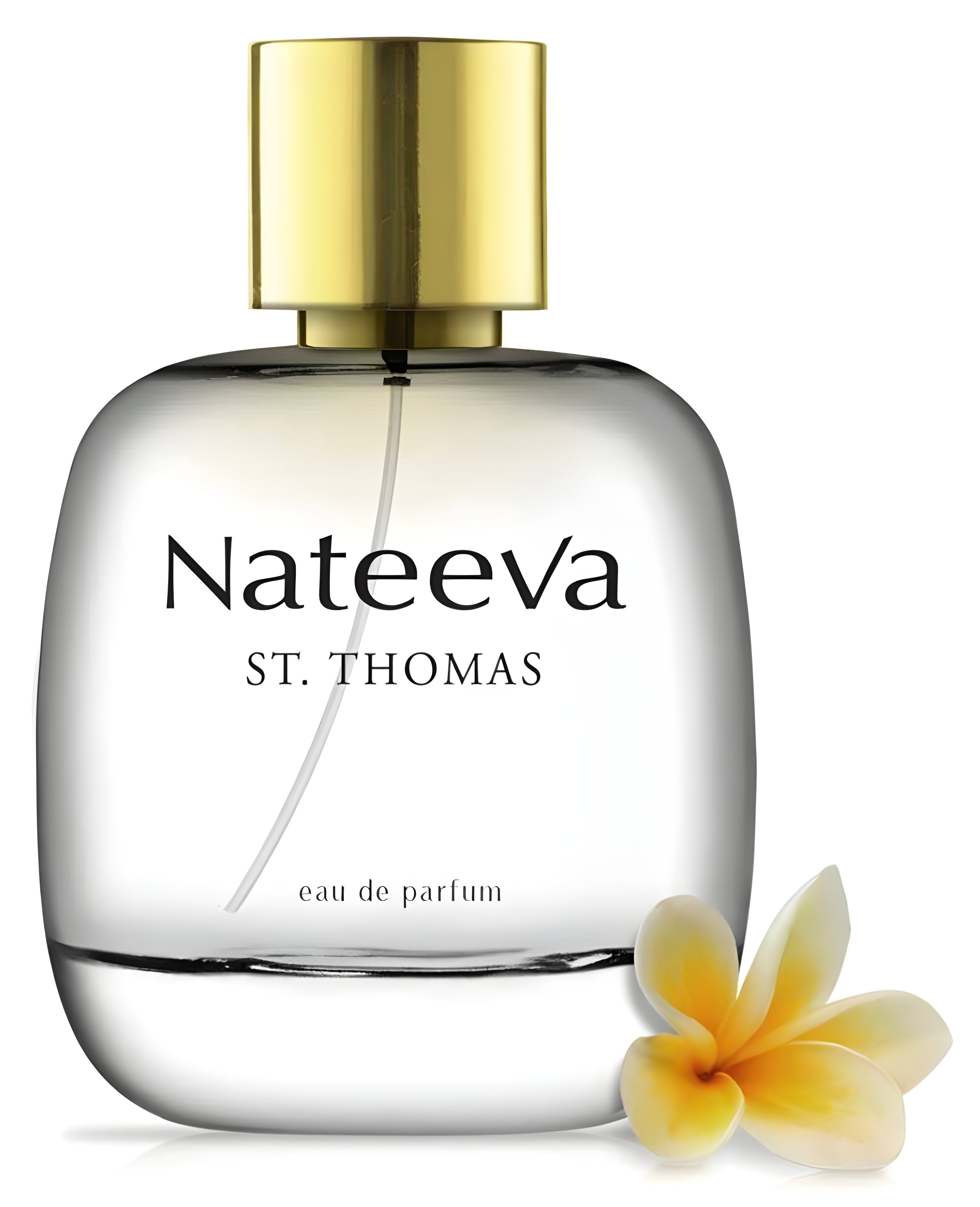 Picture of Saint Thomas fragrance