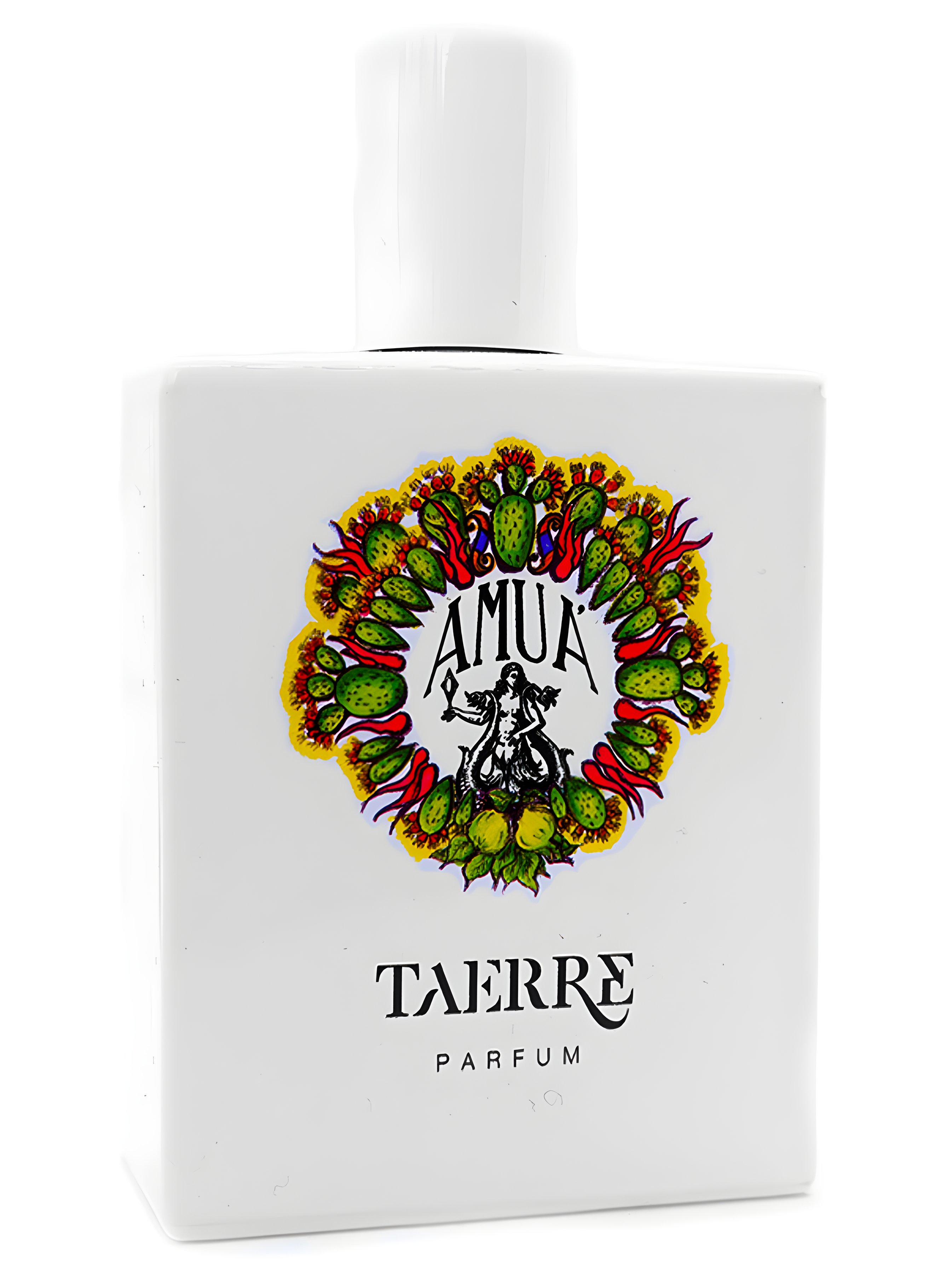 Picture of Taerre fragrance