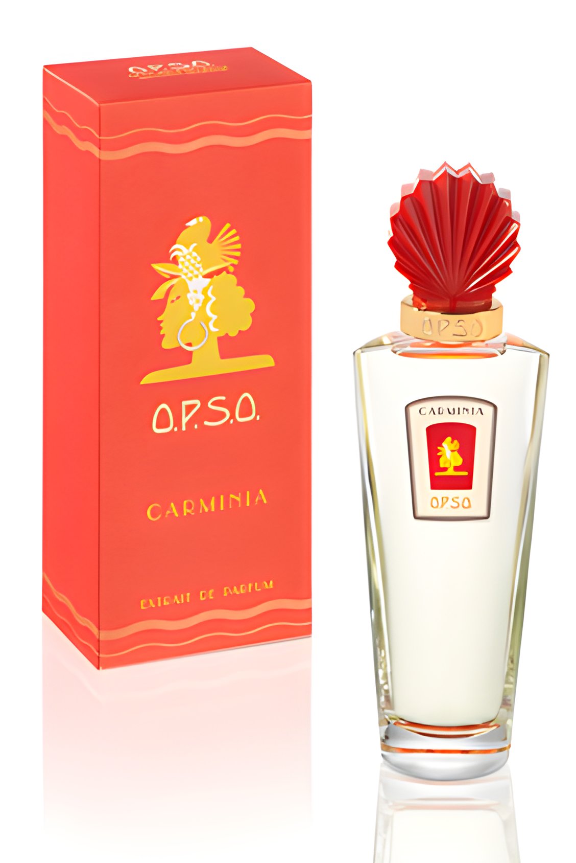 Picture of Carminia fragrance