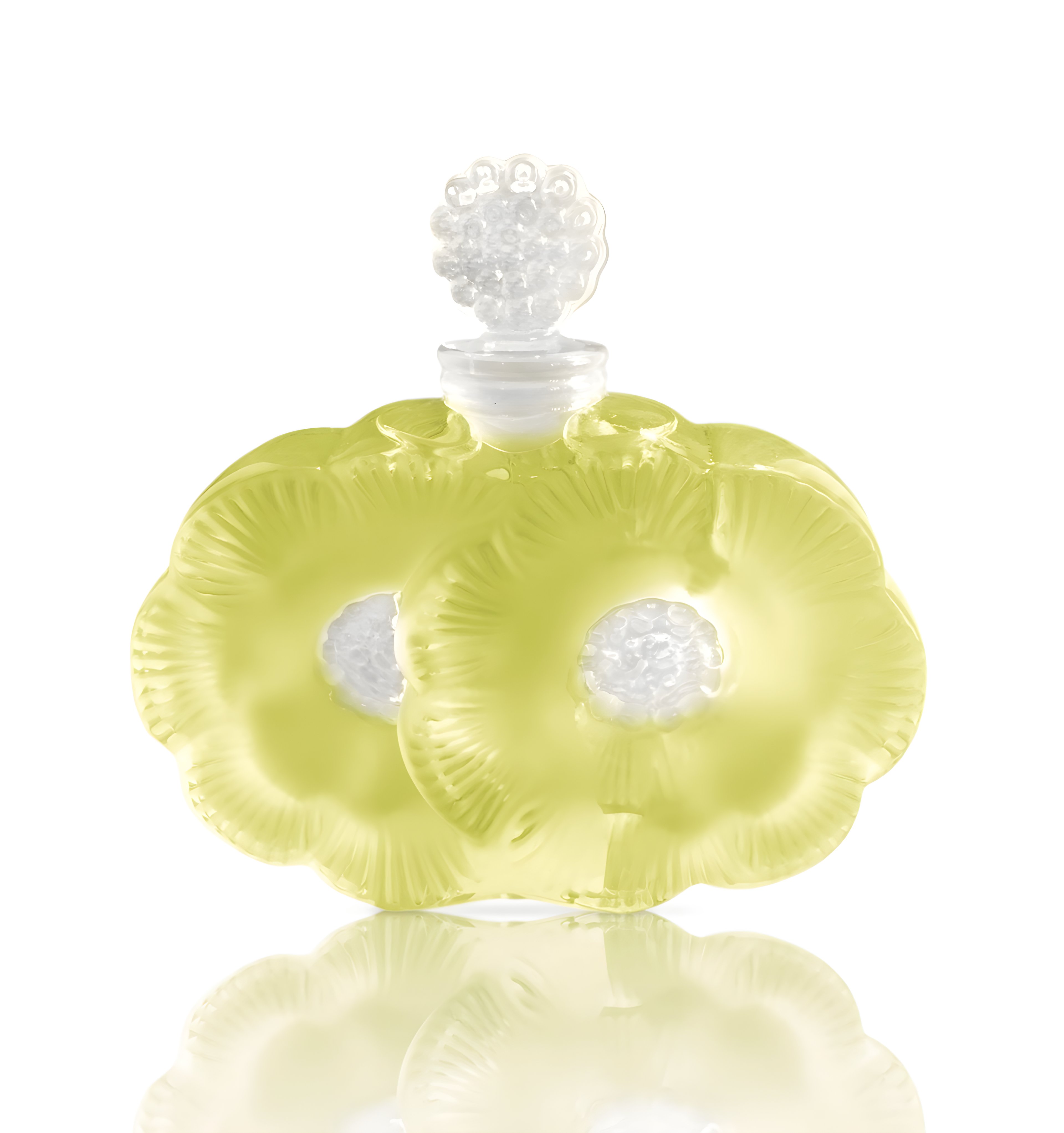 Picture of Paradis Provence fragrance