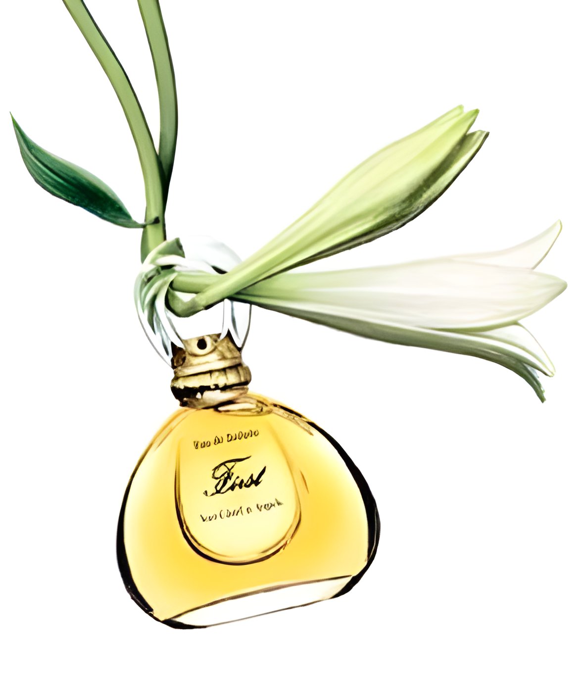 Picture of First Jasmin de Chine fragrance