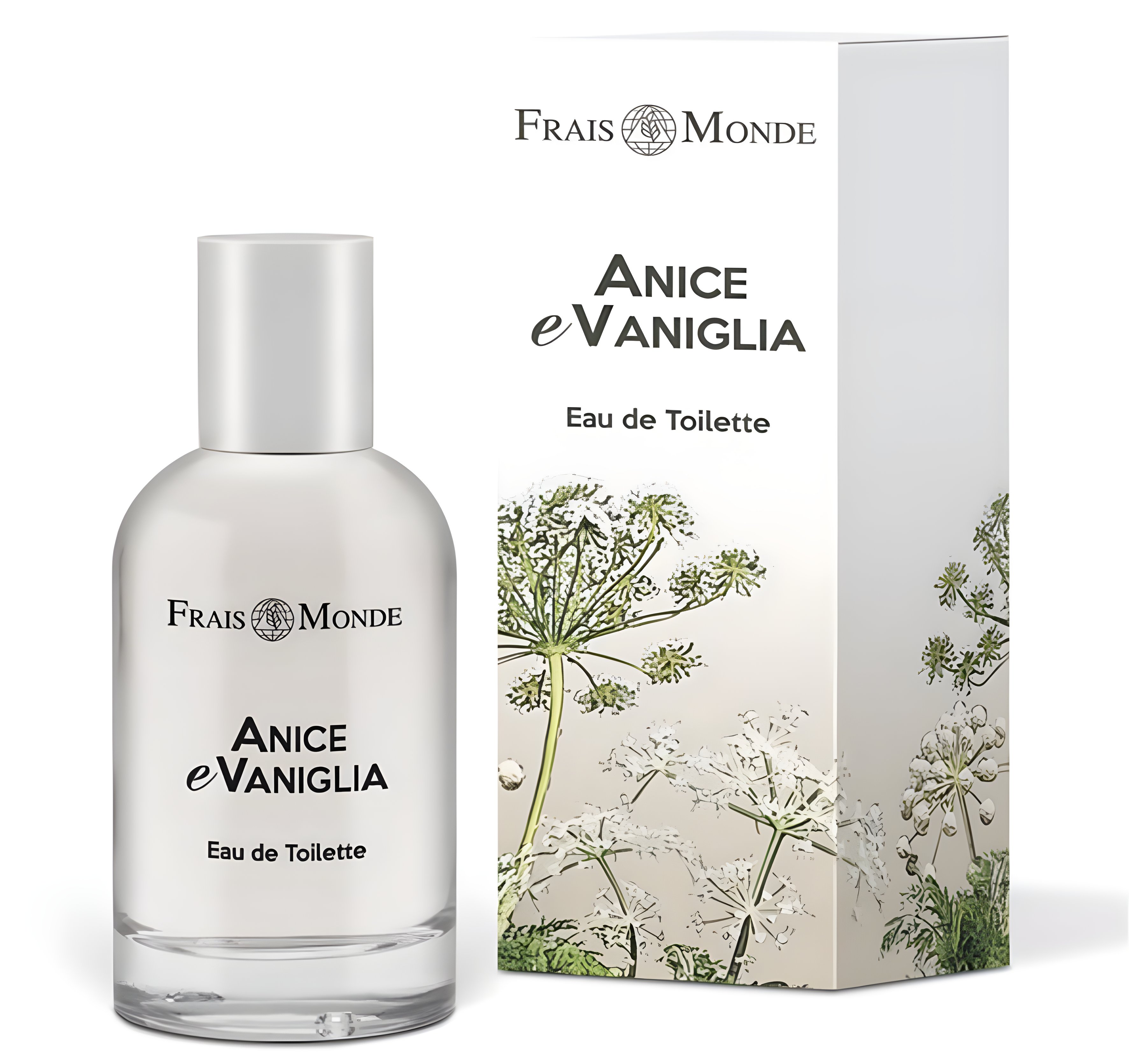 Picture of Anise and Vanilla fragrance