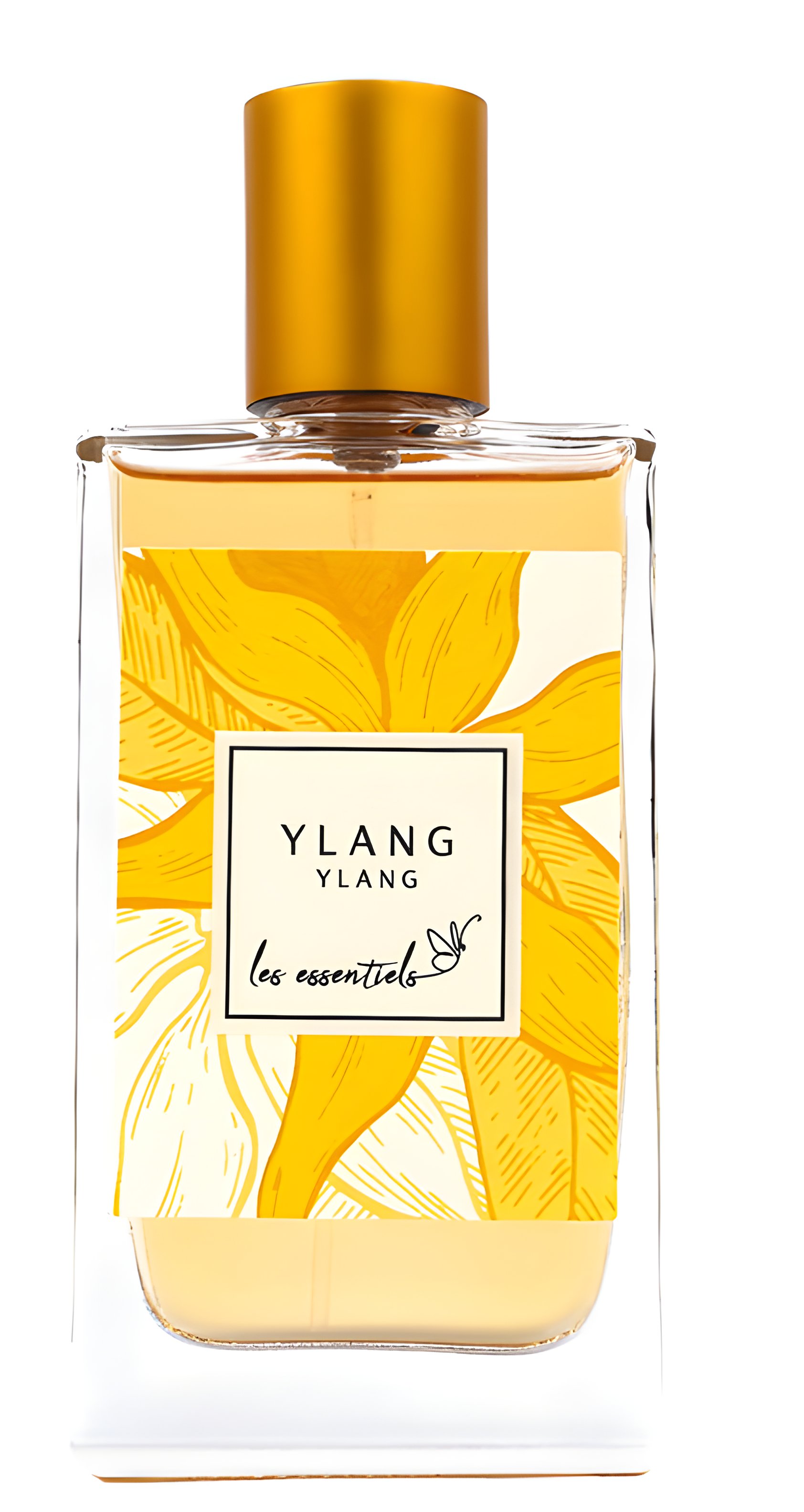 Picture of Ylang Ylang fragrance