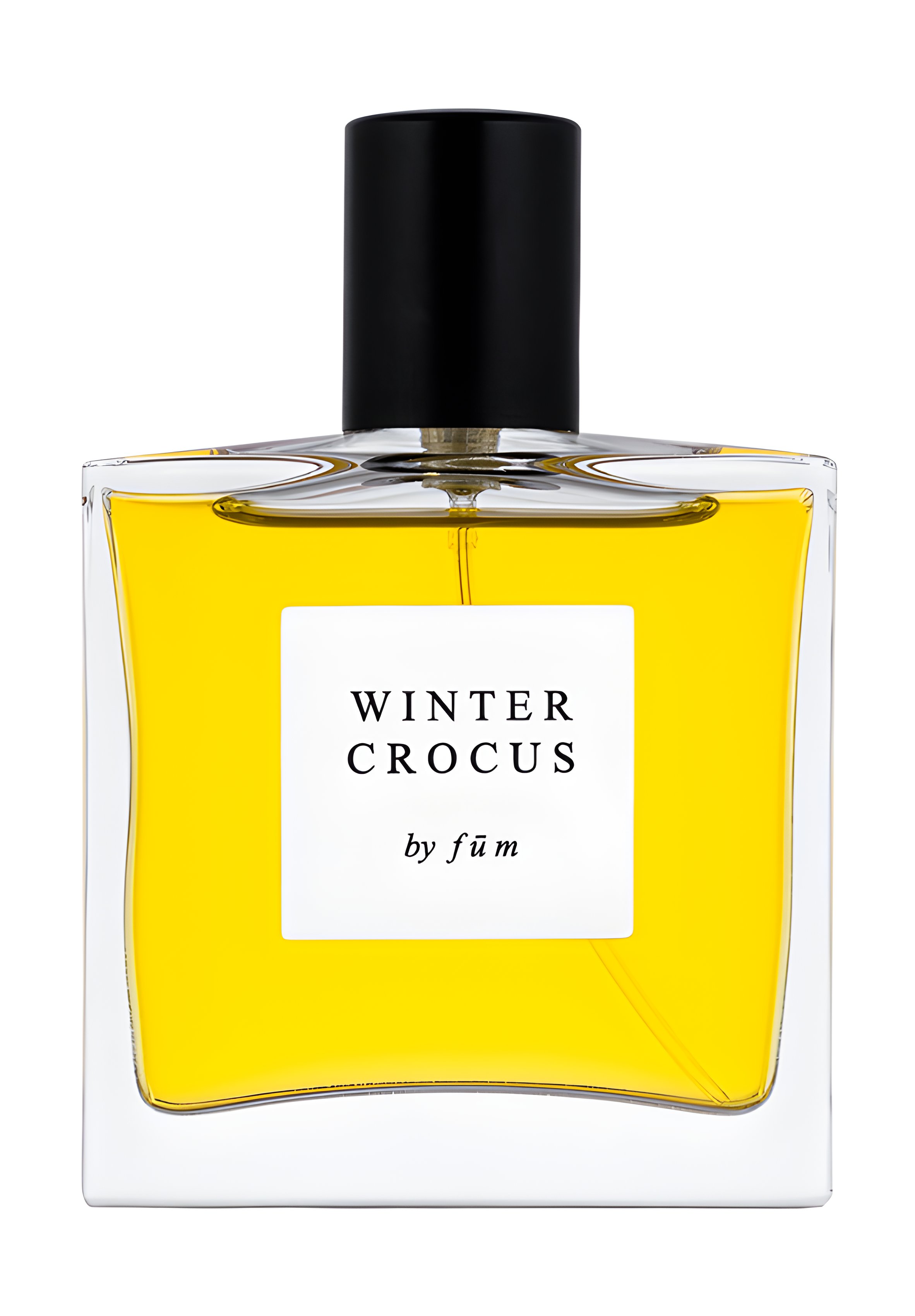 Picture of Winter Crocus fragrance