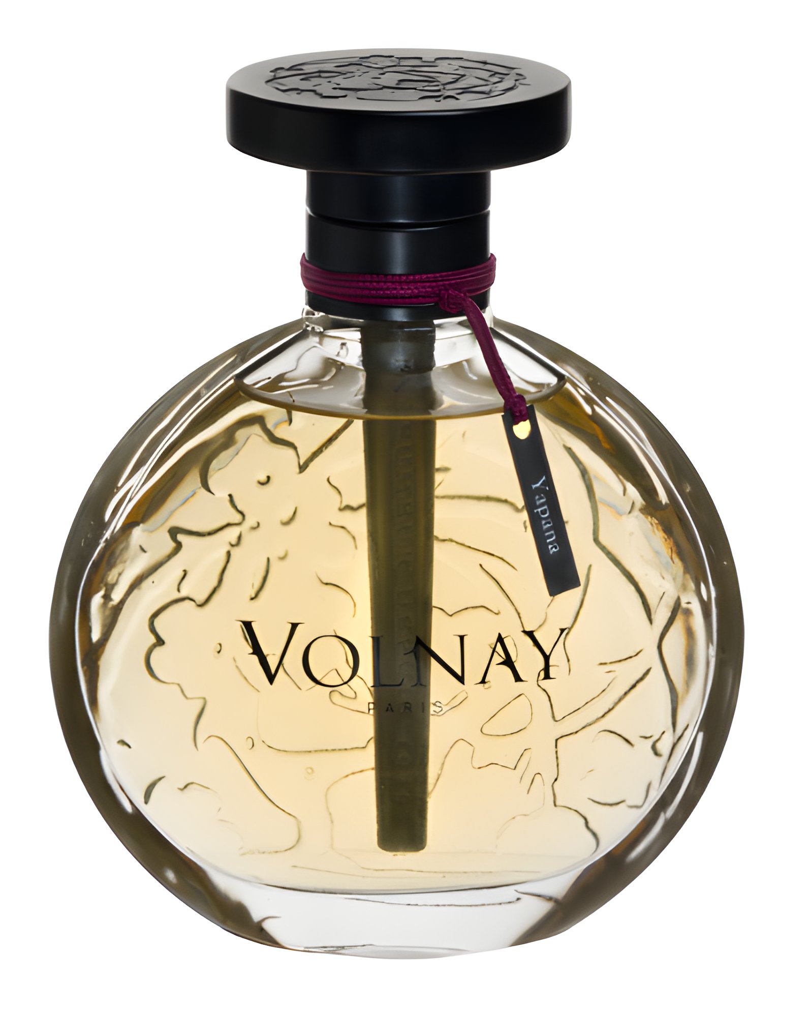 Picture of Yapana fragrance