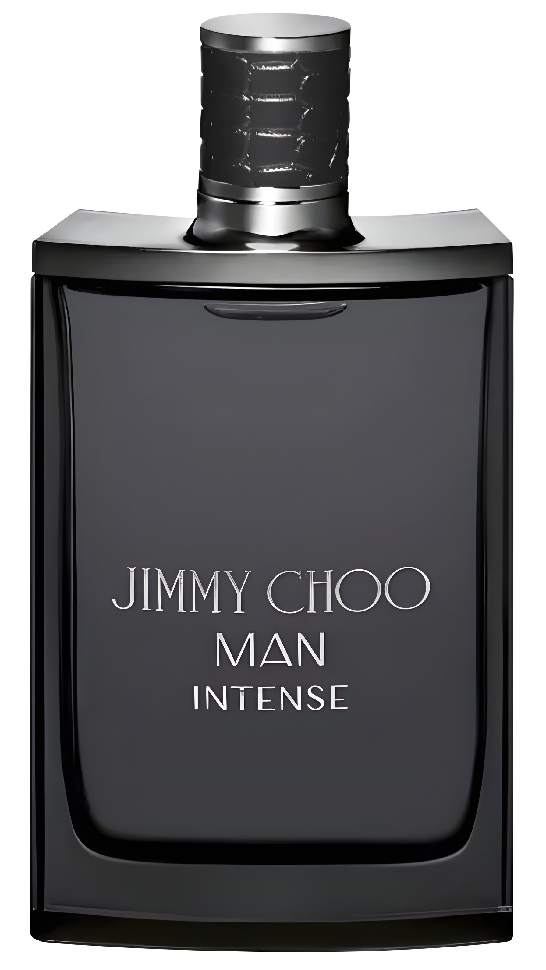 Picture of Jimmy Choo Man Intense fragrance