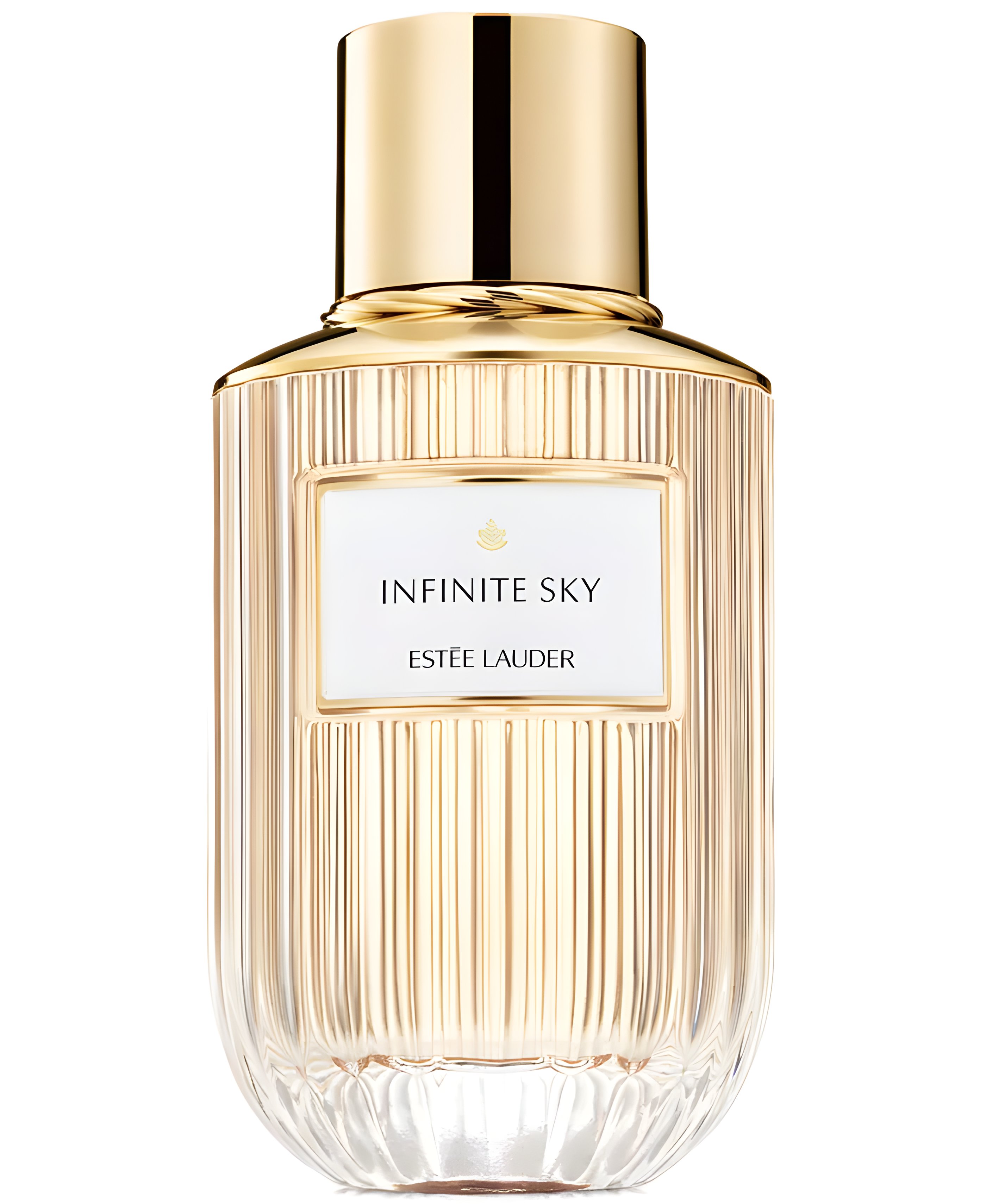 Picture of Infinite Sky fragrance