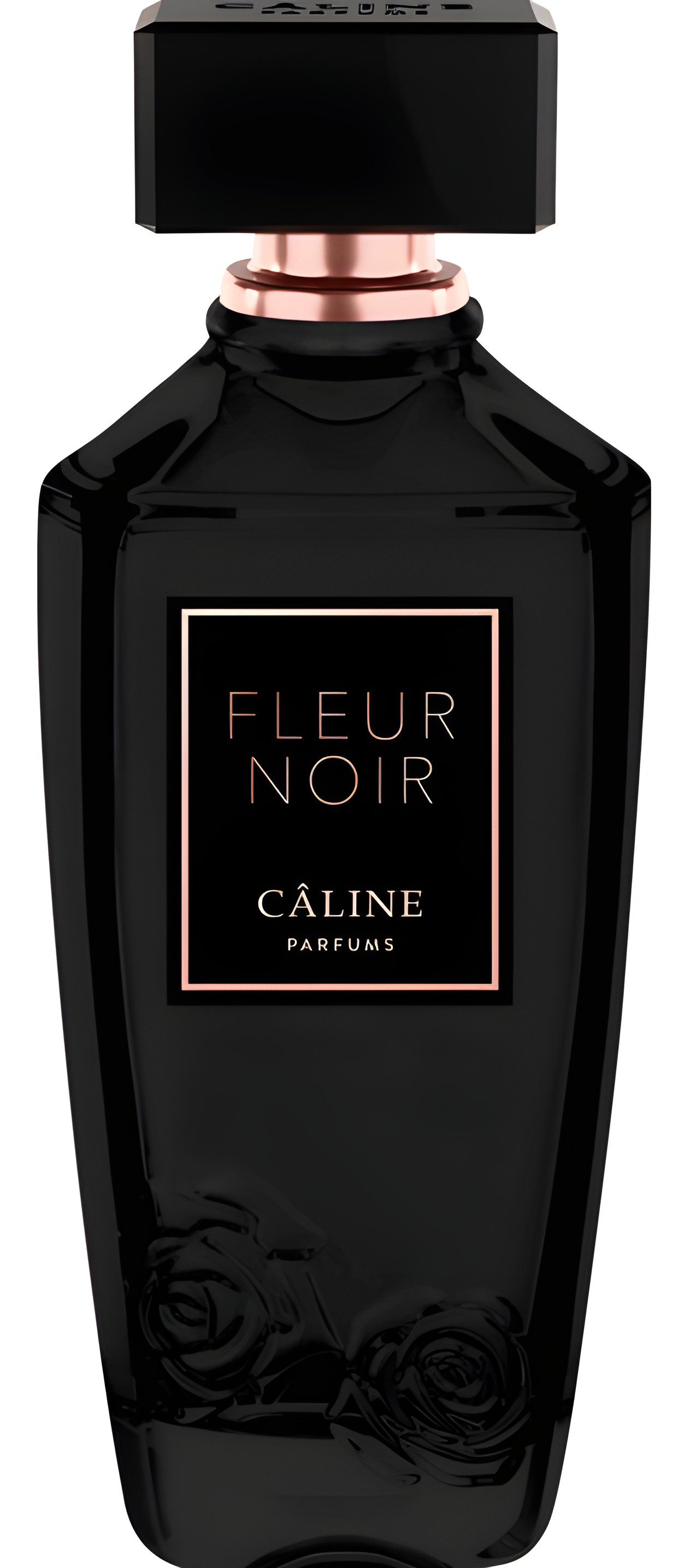 Picture of Fleur Noir fragrance