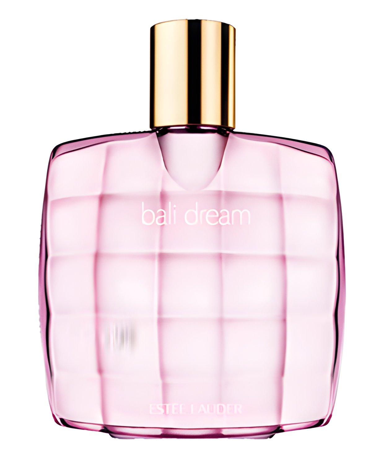 Picture of Bali Dream fragrance