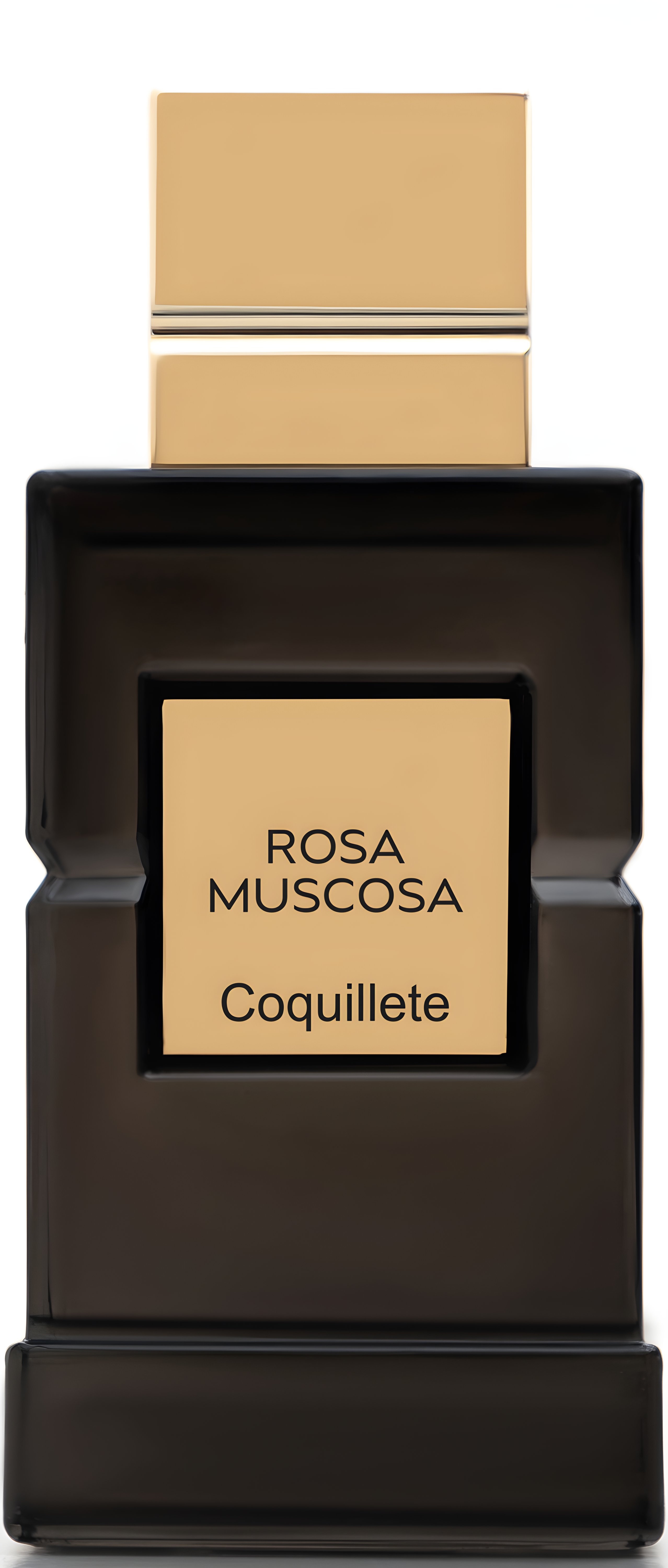 Picture of Rosa Muscosa fragrance