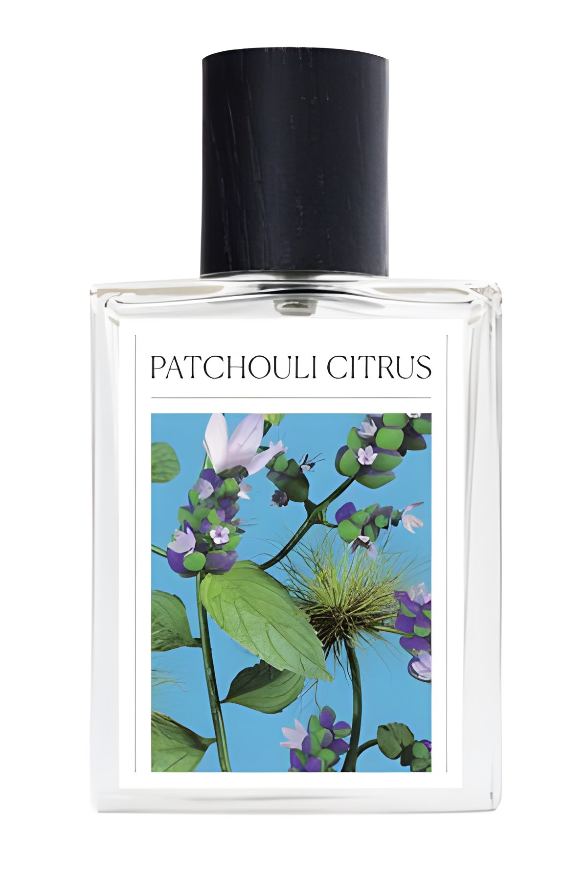 Picture of Patchouli Citrus fragrance