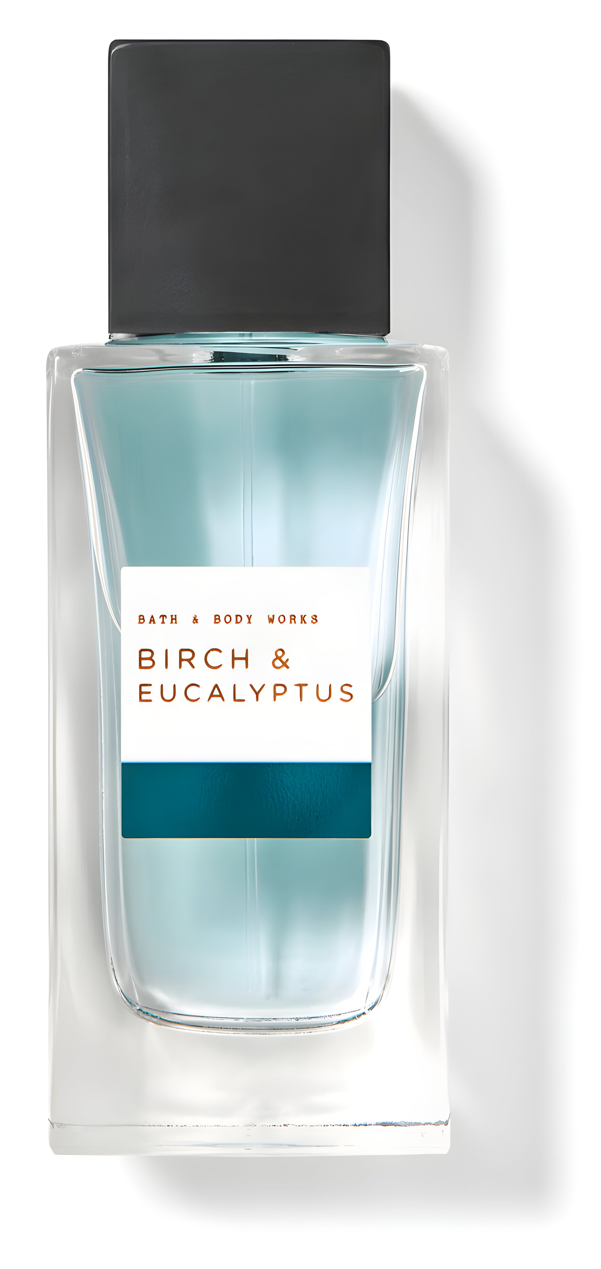 Picture of Birch & Eucalyptus fragrance