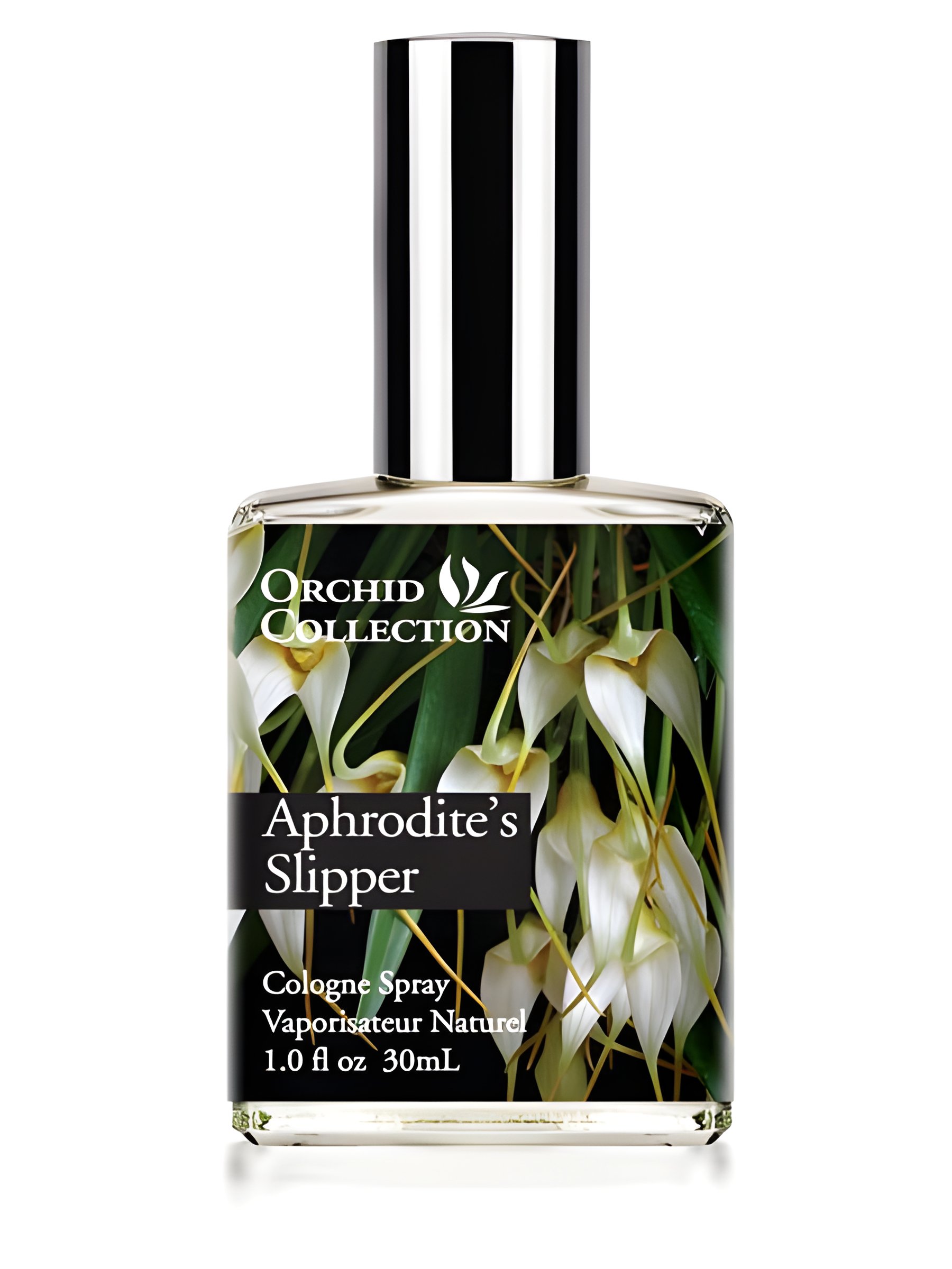 Picture of Aphrodite's Slipper Orchid fragrance