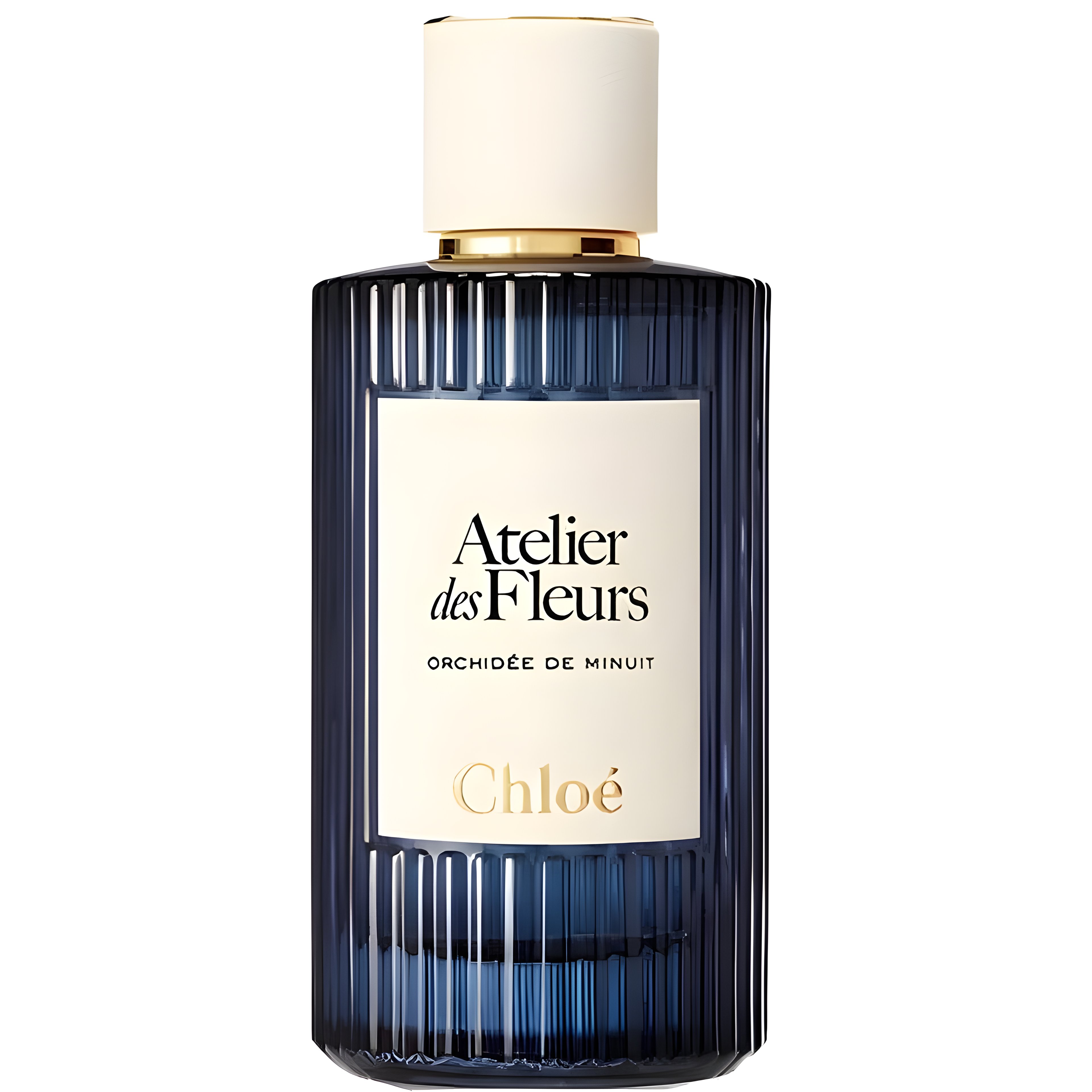 Picture of Orchidée de Minuit fragrance