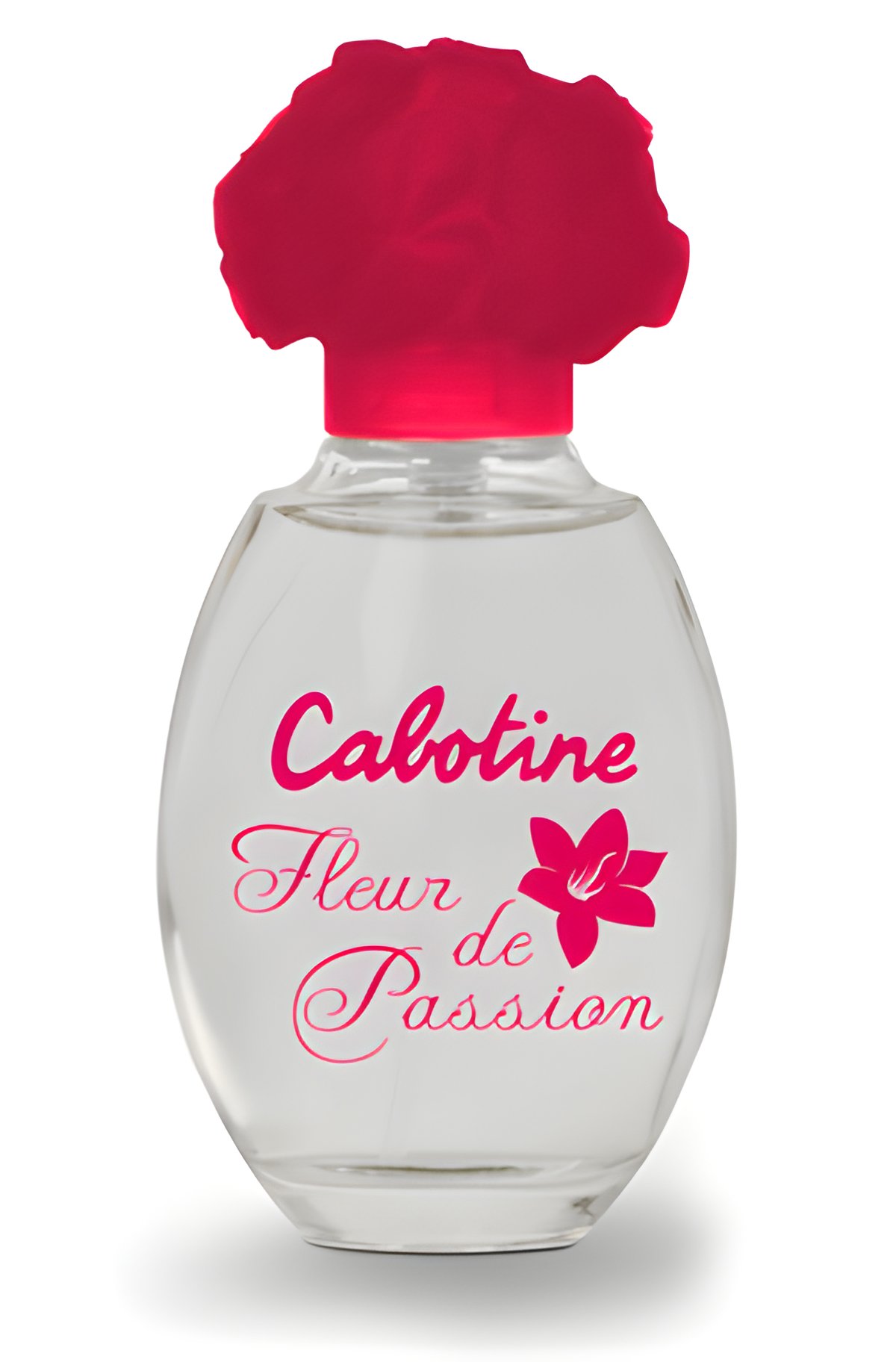 Picture of Cabotine Fleur de Passion fragrance