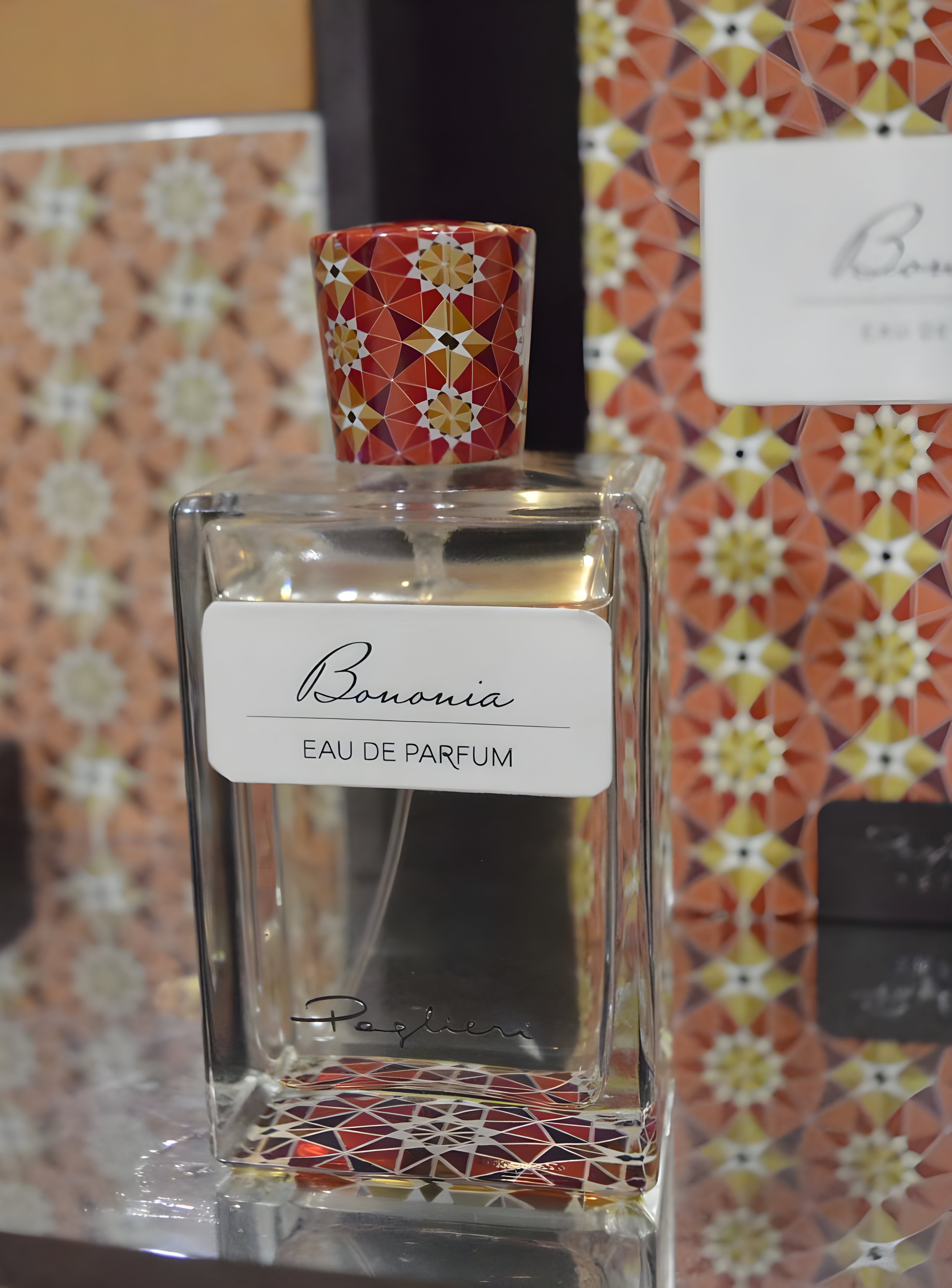 Picture of Bononia fragrance