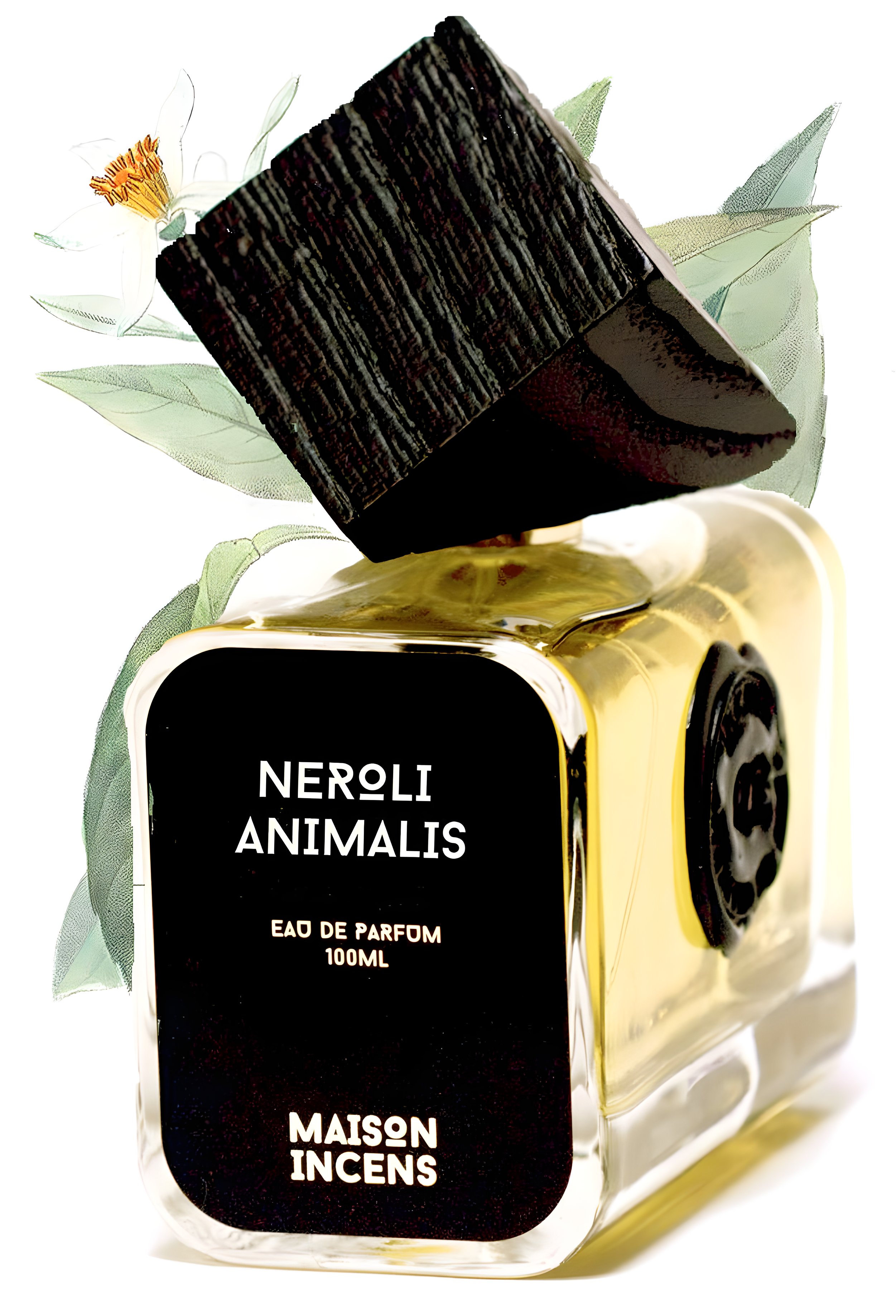 Picture of Neroli Animalis fragrance