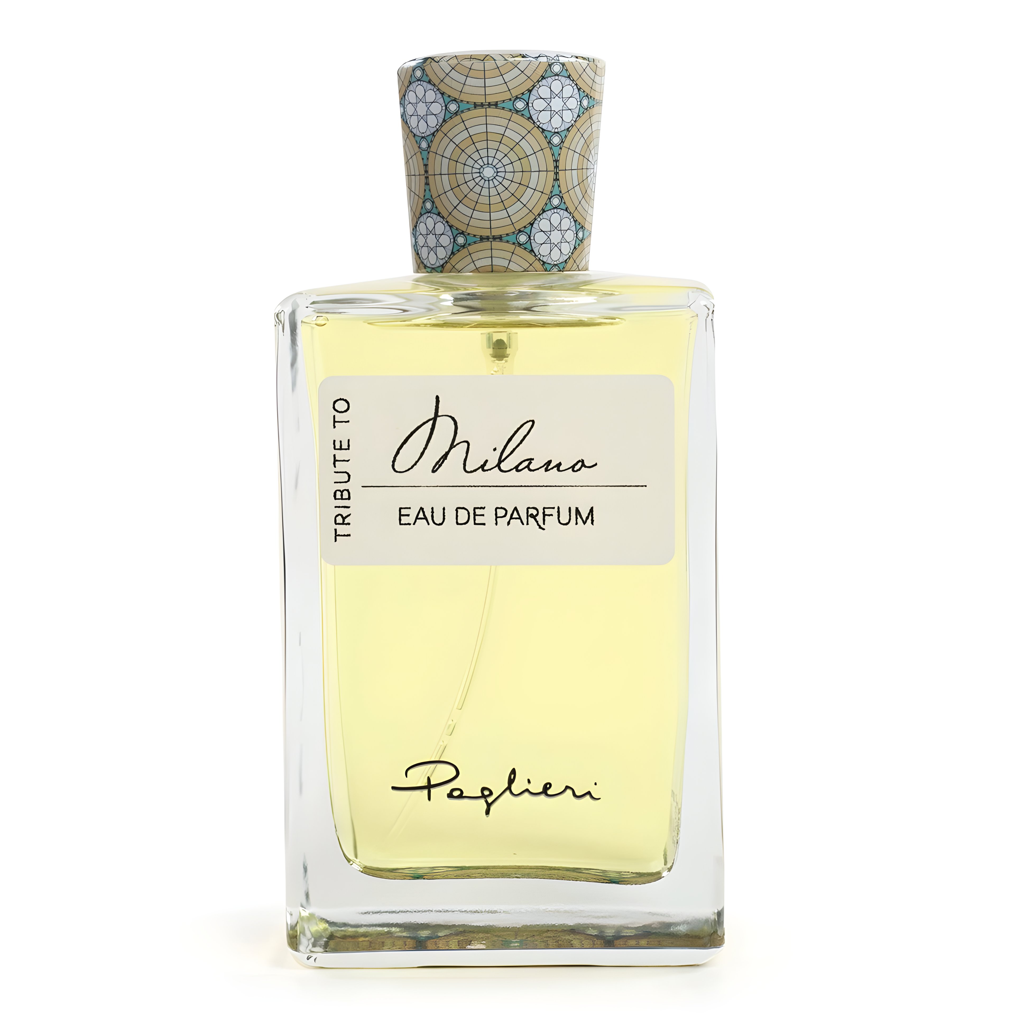 Picture of Tribute to Milano fragrance