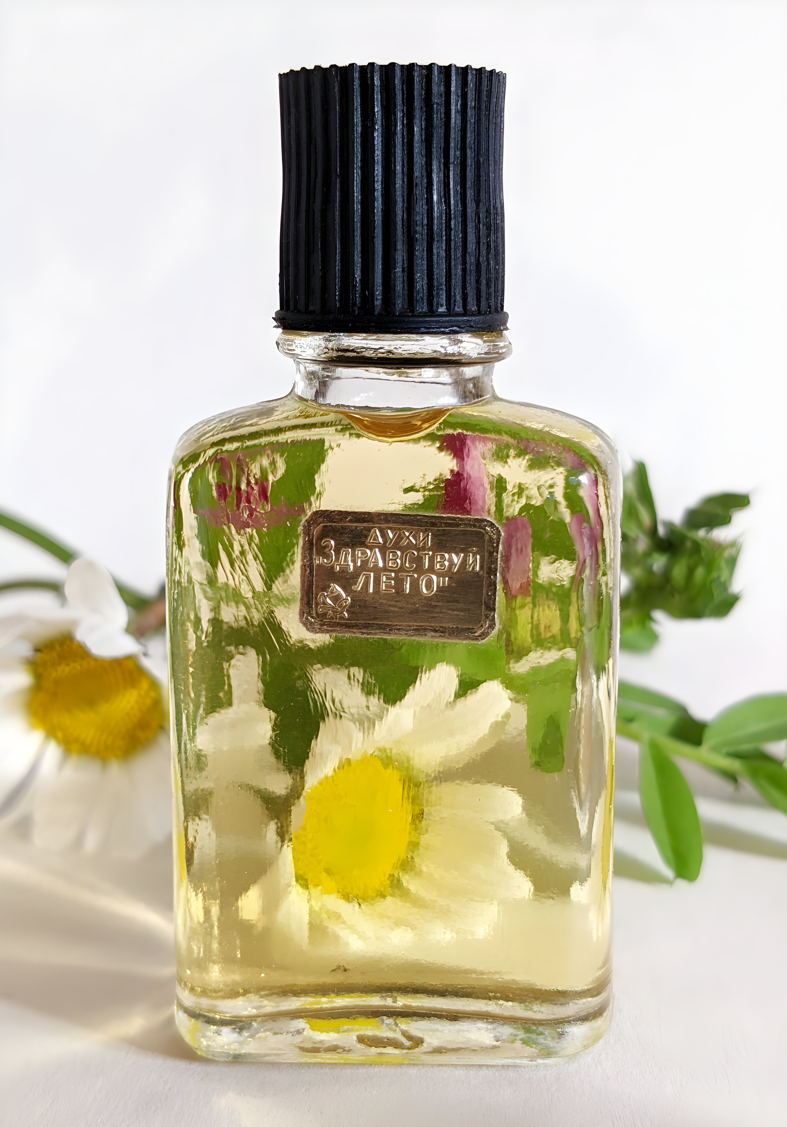 Picture of Здравствуй, Лето (Hello, Summer) fragrance