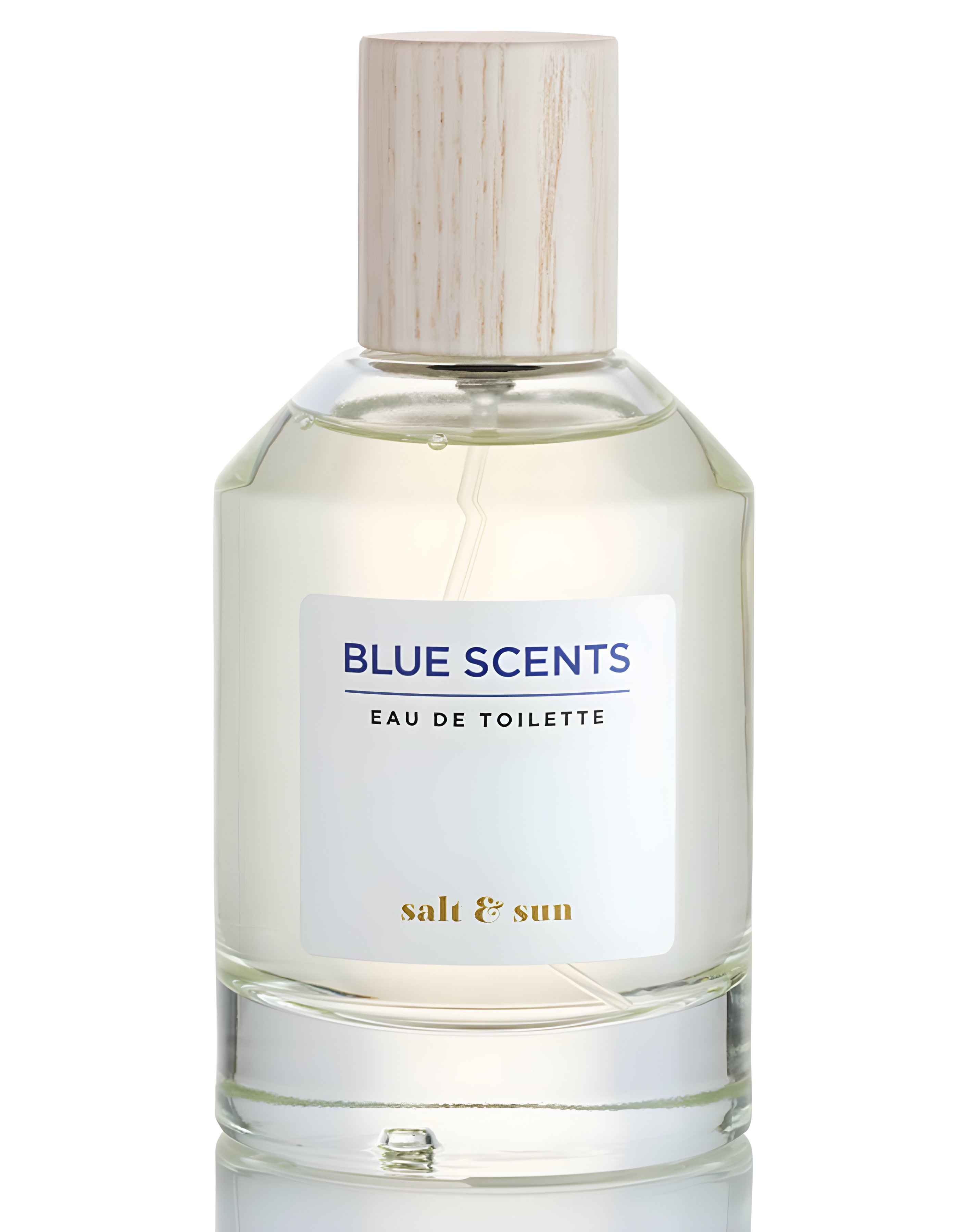 Picture of Salt & Sun fragrance