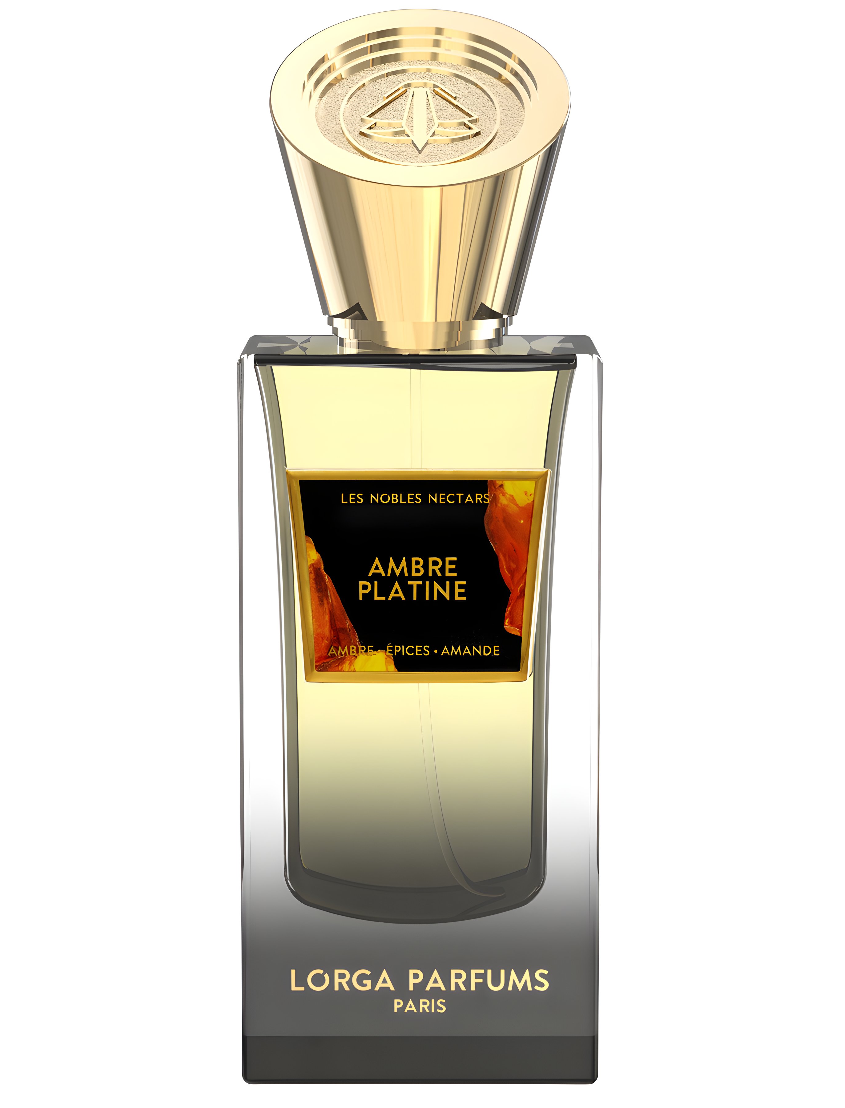 Picture of Ambre Platine fragrance