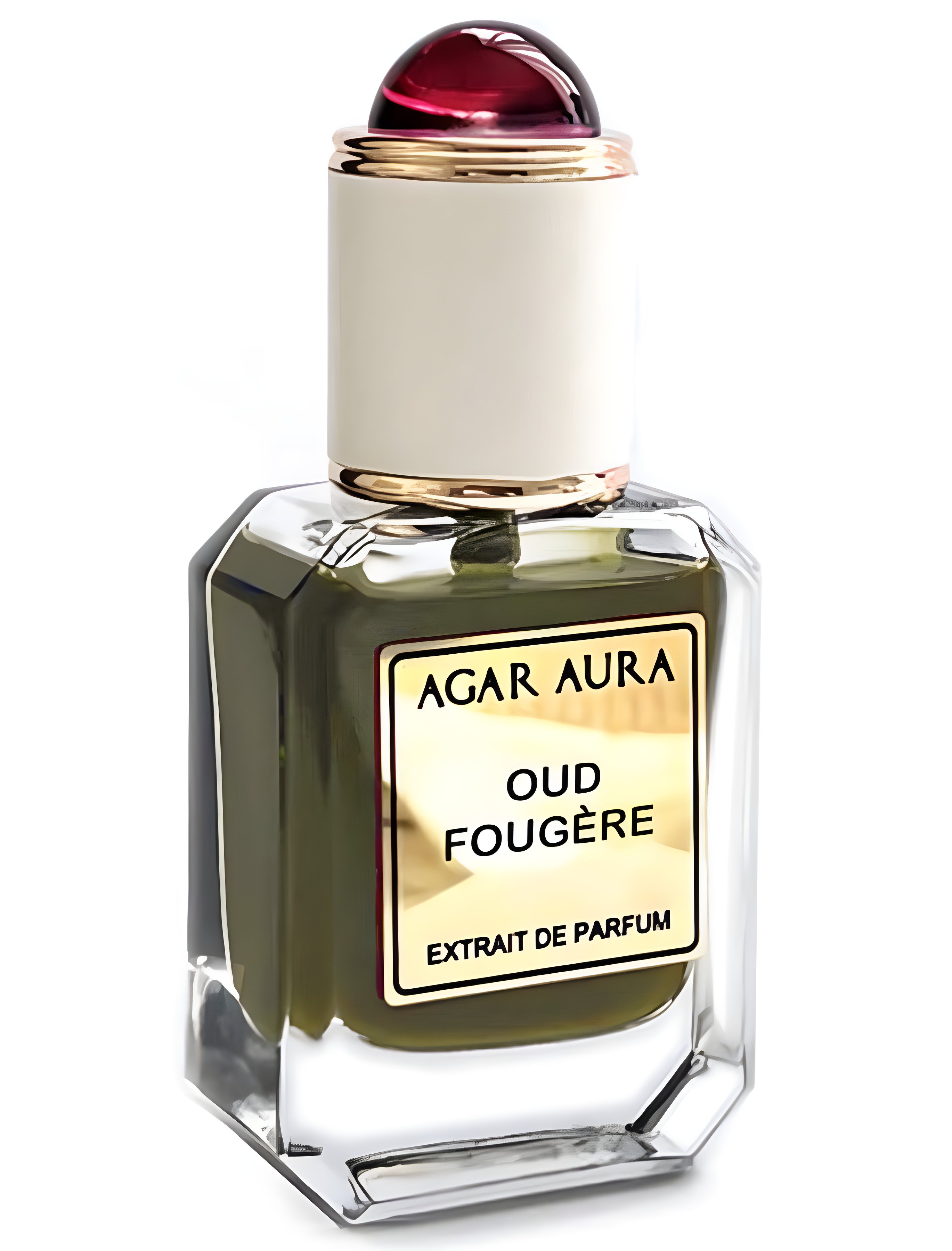 Picture of Oud Fougere fragrance