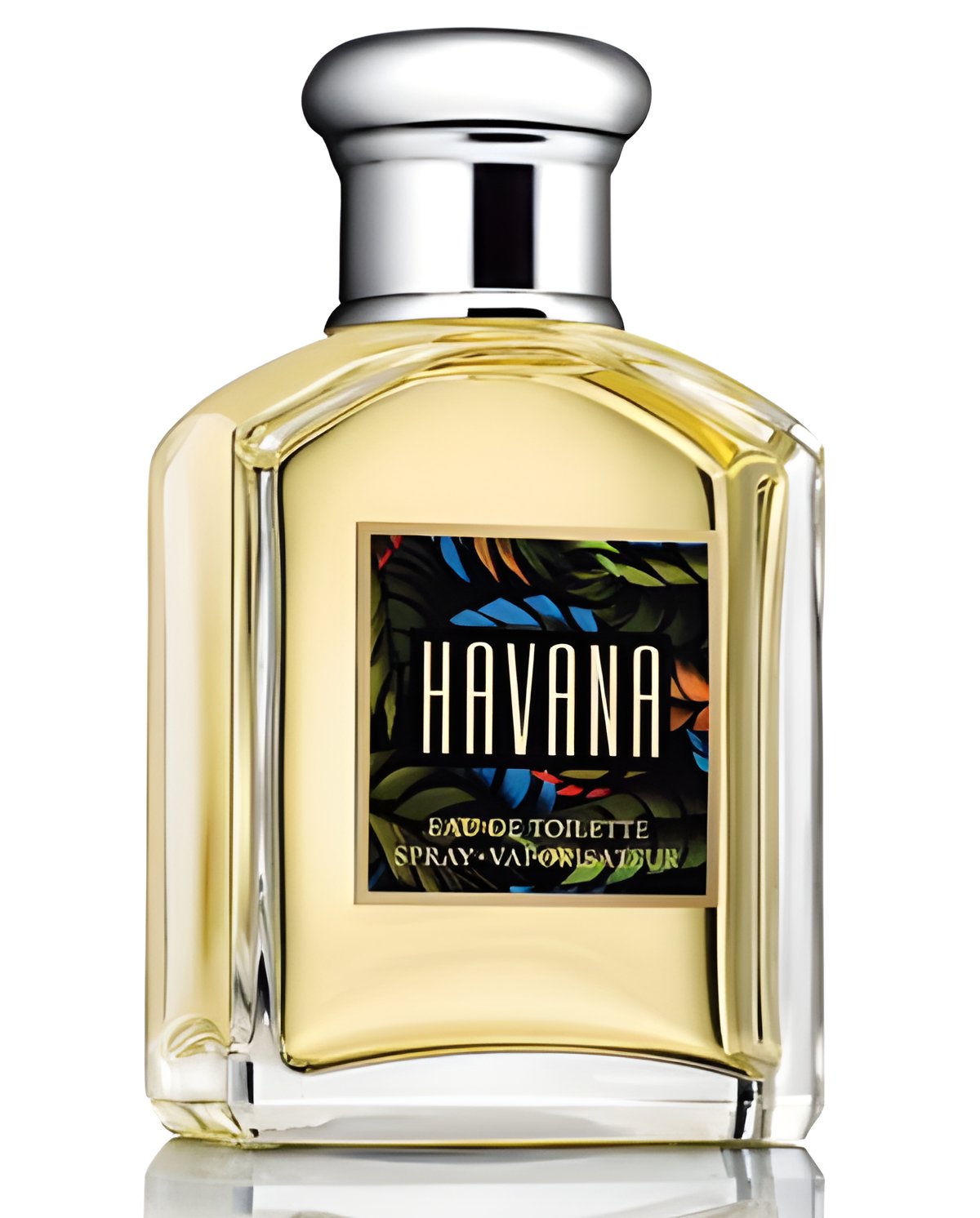 Picture of Havana fragrance