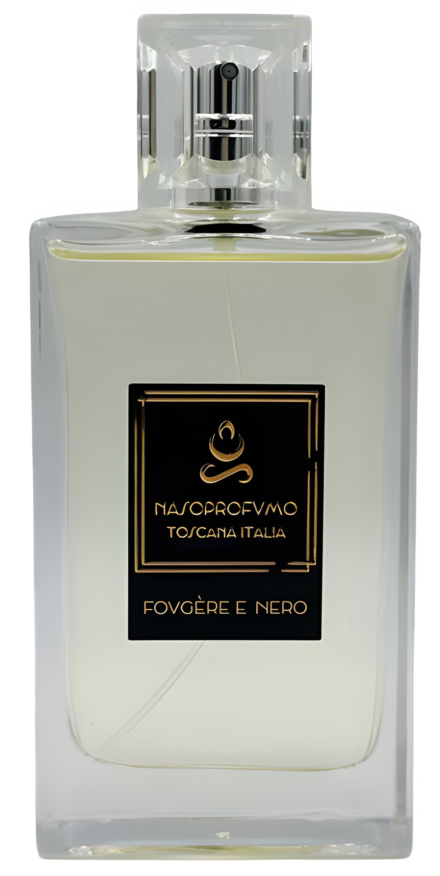 Picture of Fougère E Nero fragrance