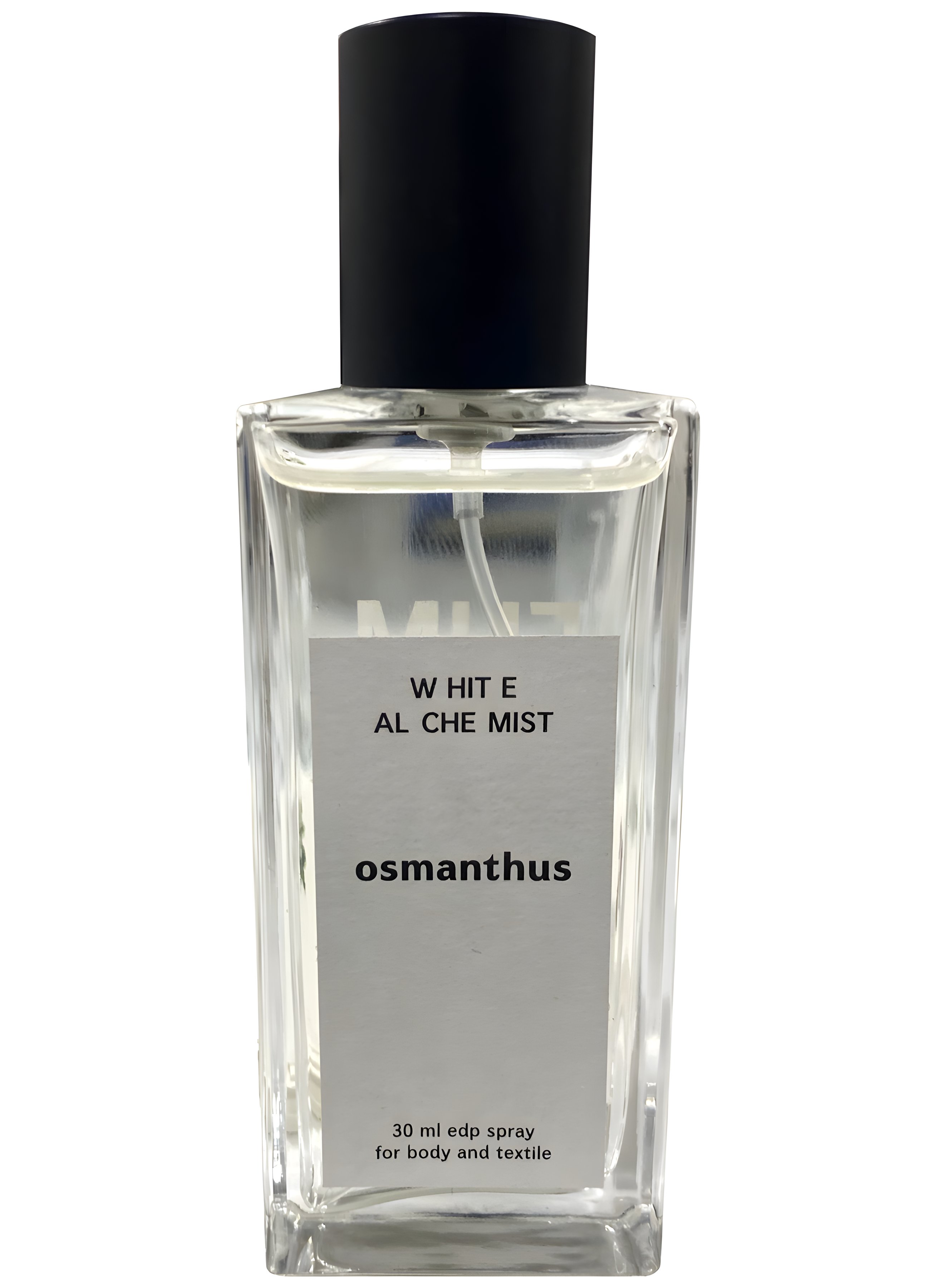 Picture of Osmanthus fragrance